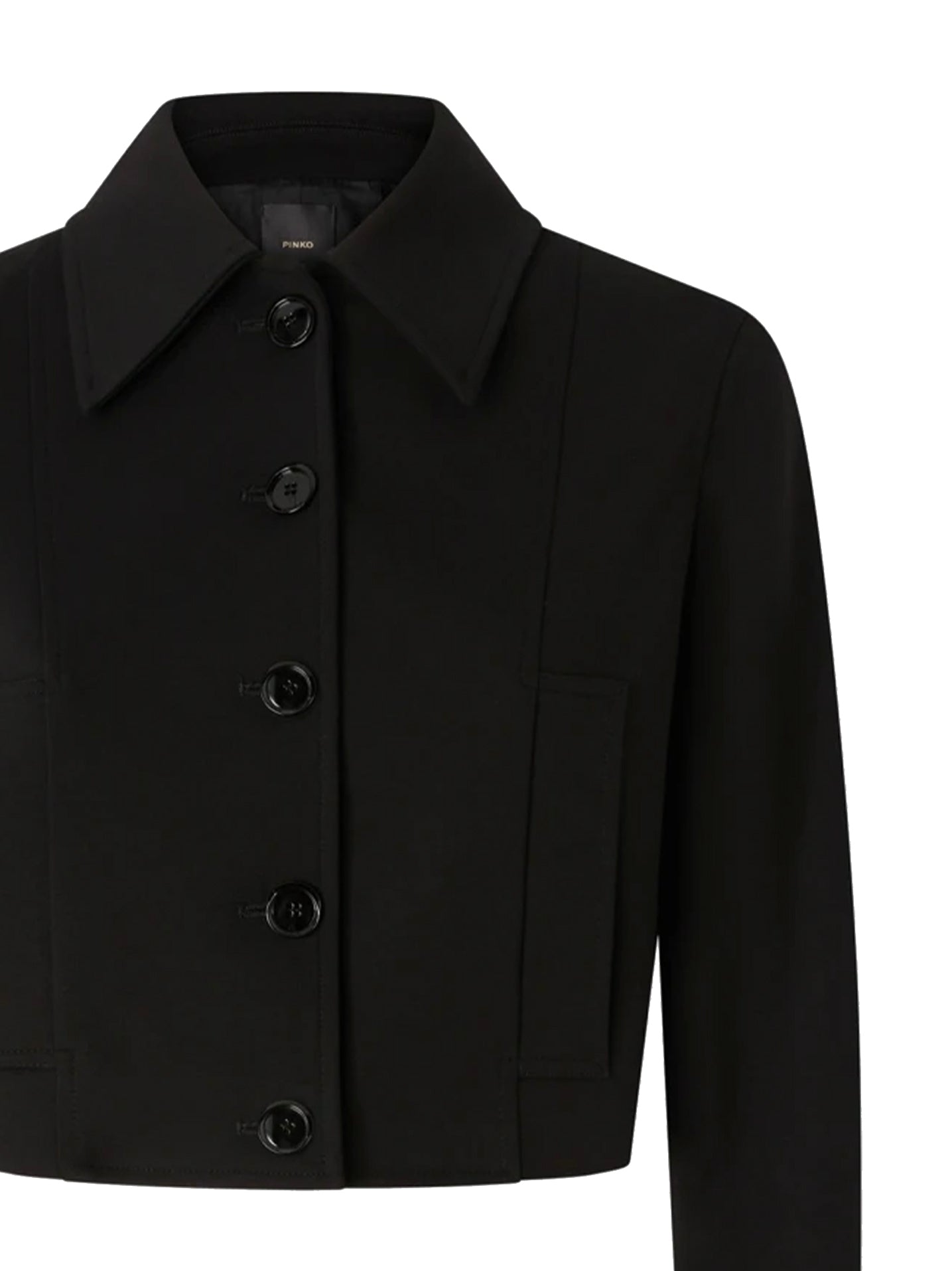 Pinko Jackets Black Limousine