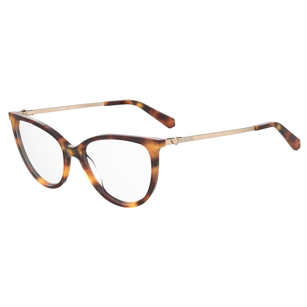 Brown Acetate Glasses (frames) Accessory