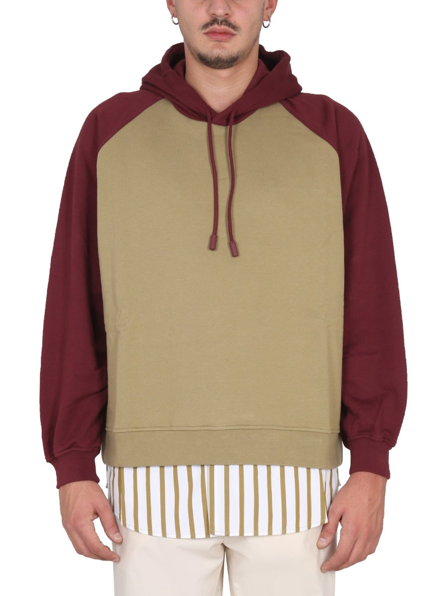 Multicolour Hoodie Sweatshirt Cotton Sweatshirts
