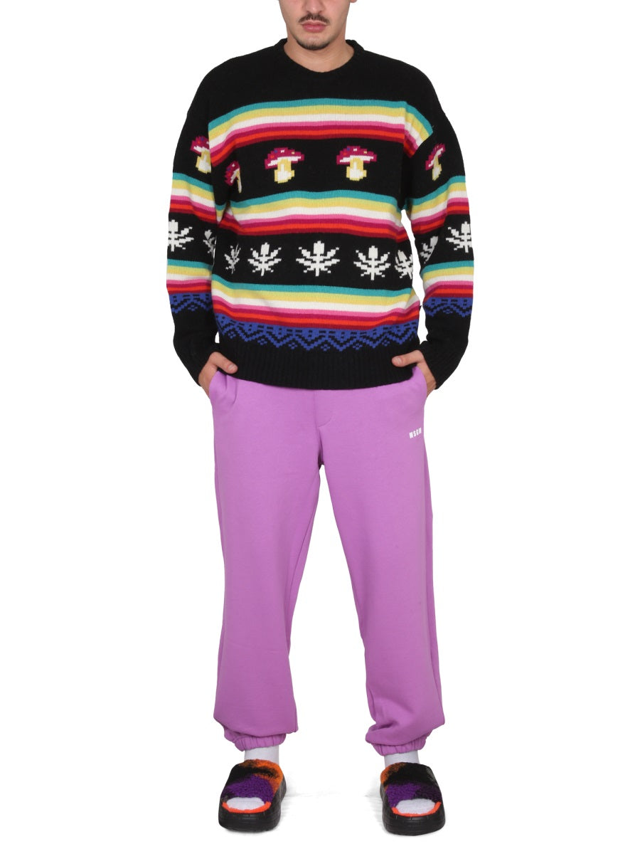 Wool Crew Neck Sweater Multicolour Polyamide Jumpers