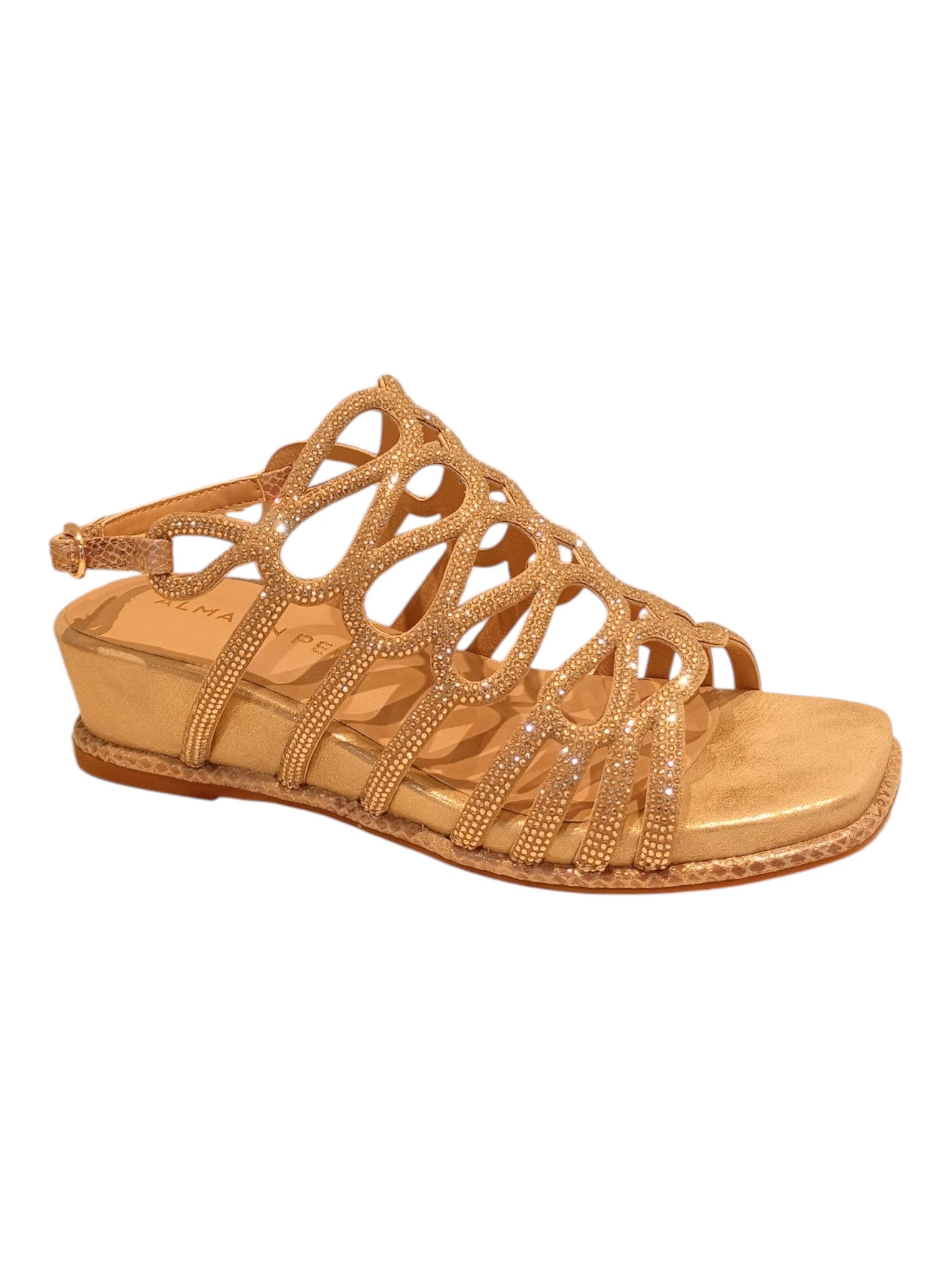 Claudia Strass Metallic Shoe