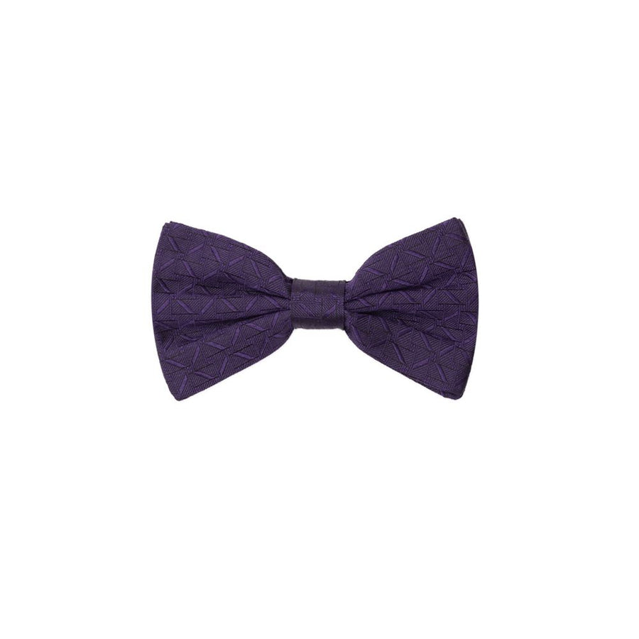 Dolce & Gabbana Silk bow tie in purple