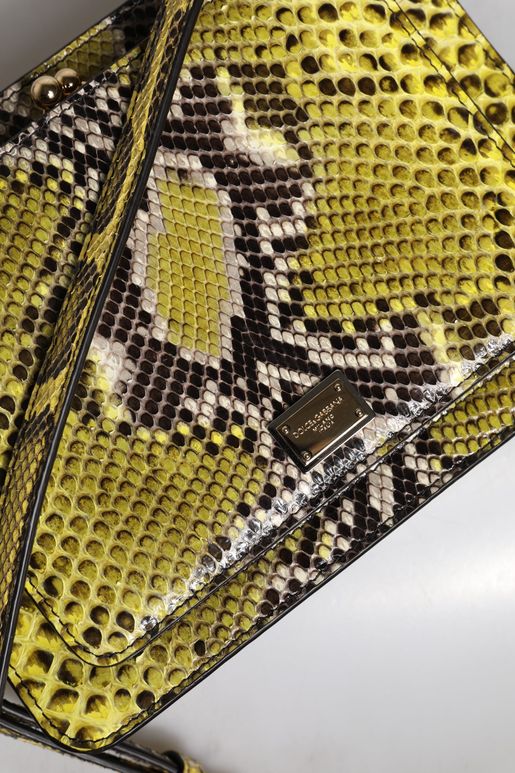 Green Exotic Leather Dg Plaque Crossbody Clutch Bag Python