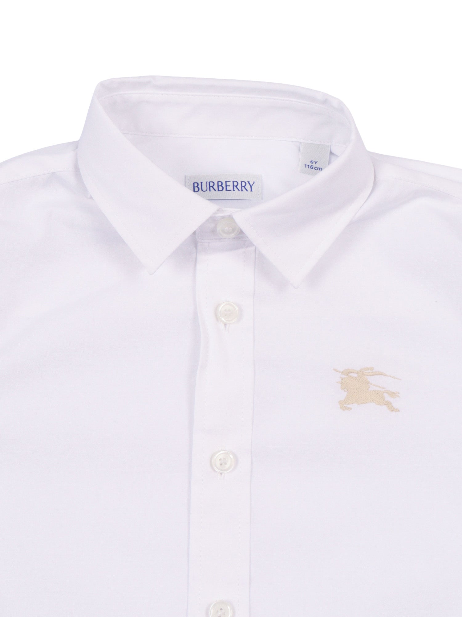 Kid Boy Shirts White Cotton Elastane