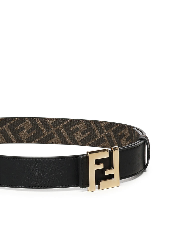Fendi Belts Black, Brown Calfskin