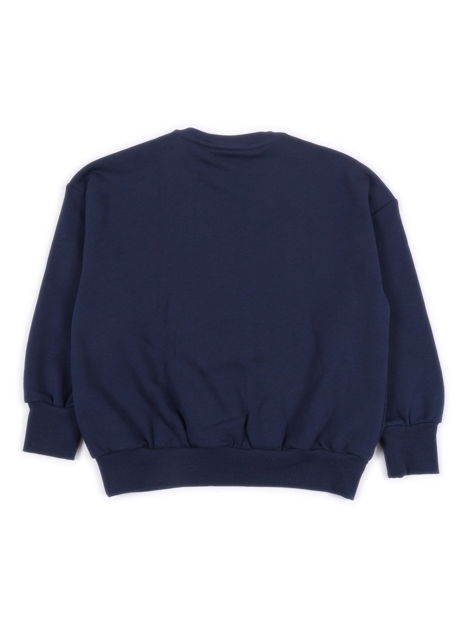 Dino Application Sweatshirt Blue Organic Cotton