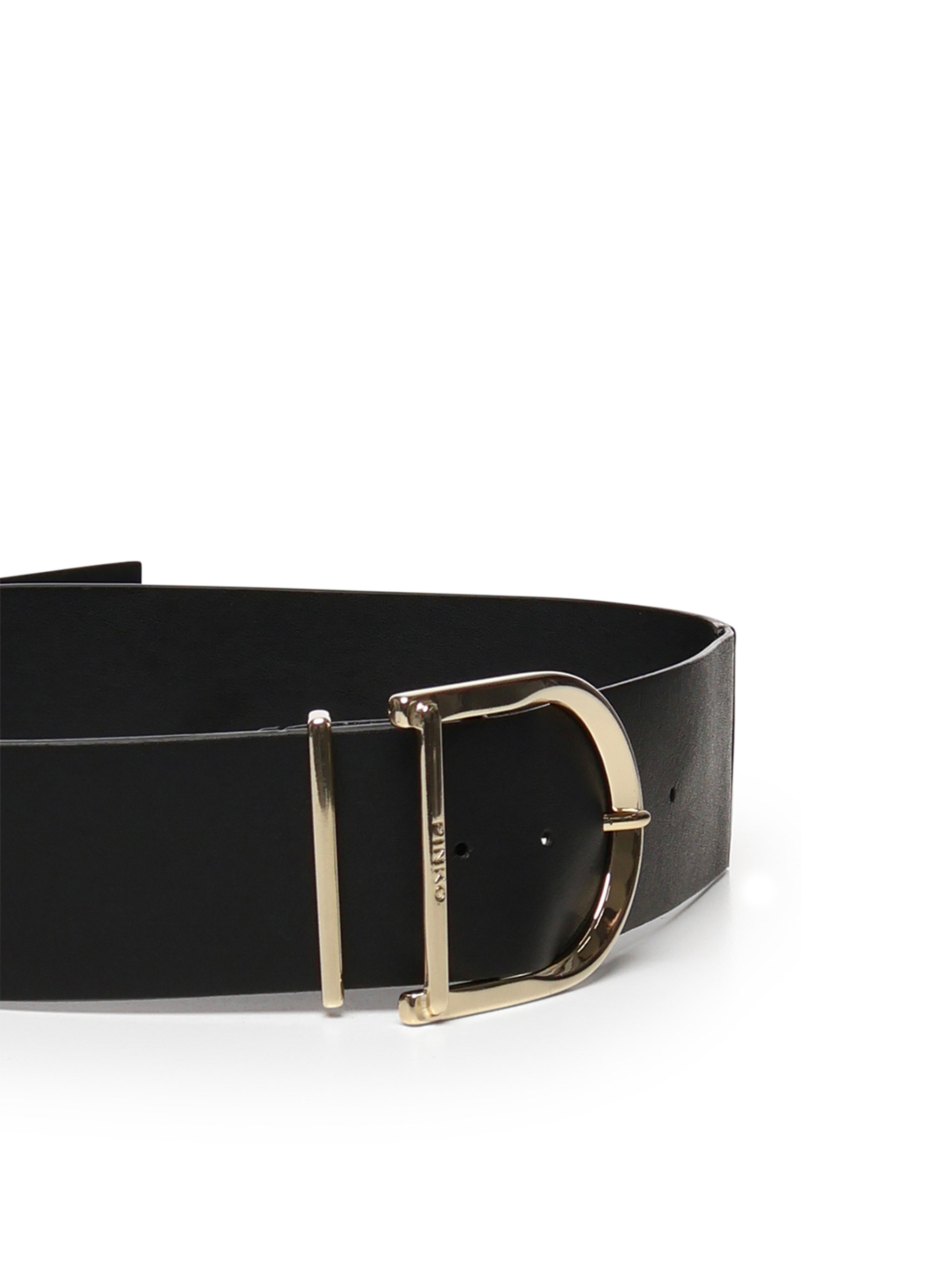 Pinko Belts Nero-light Gold