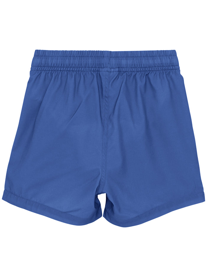 Swim Shorts Blue Pl/ Ea Costume