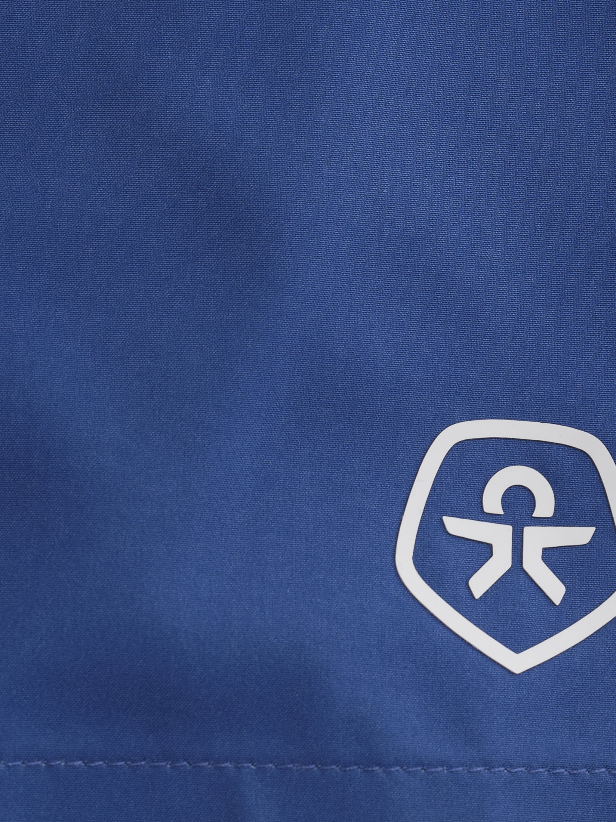 Swim Shorts Blue Pl/ Ea Costume