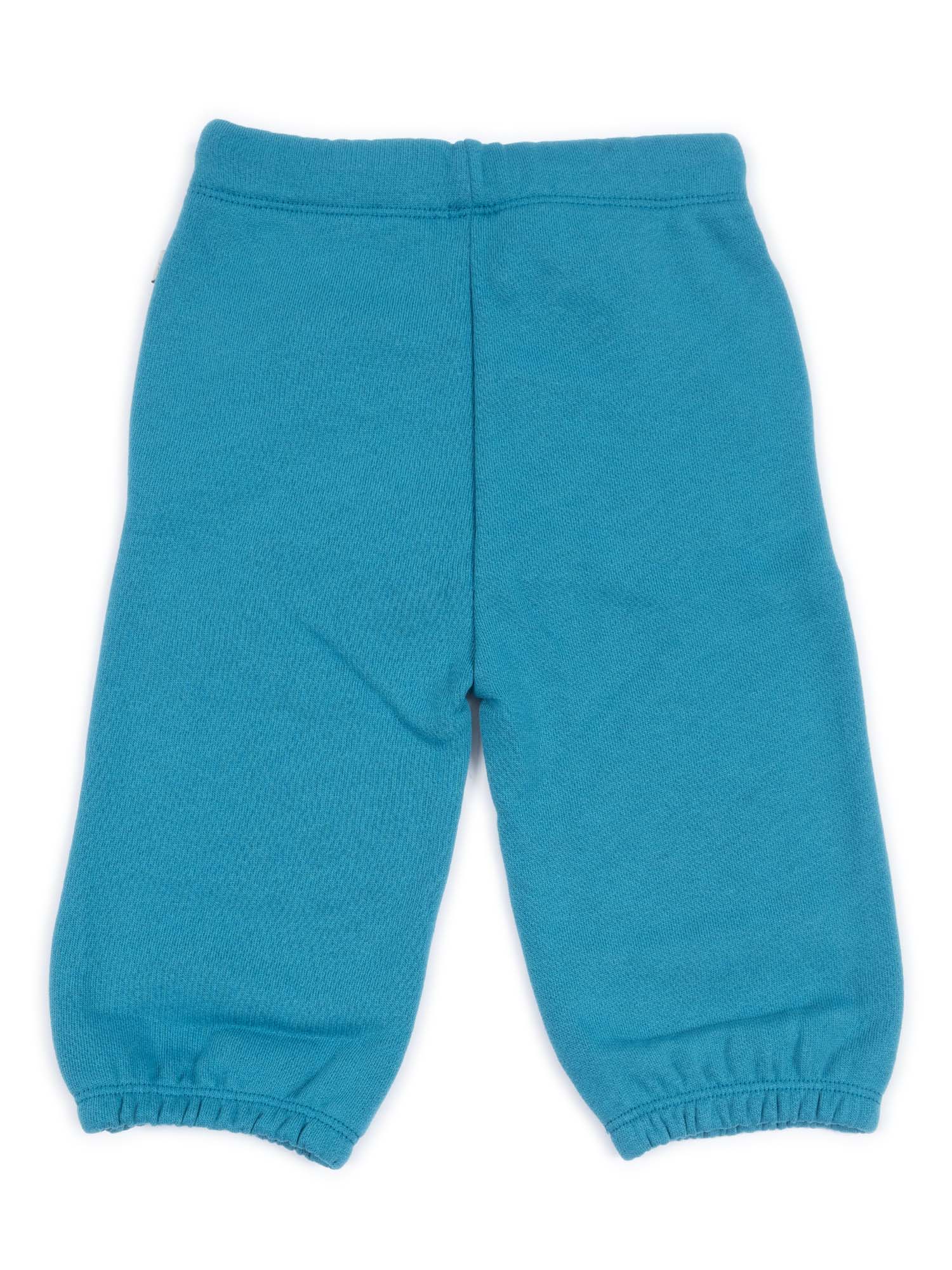 Joggers Light Blue Cotton Jogging Pant