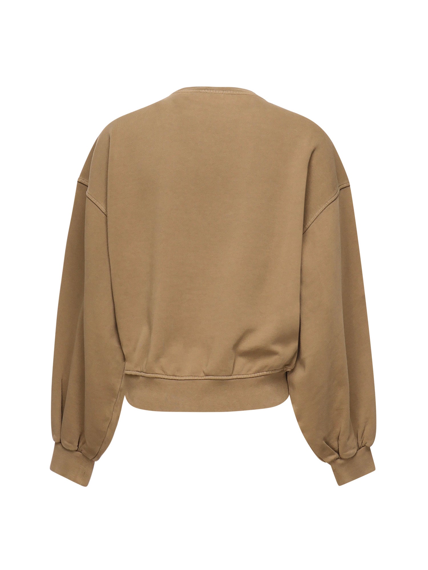 Pinko Sweaters Hazelnut Cotton