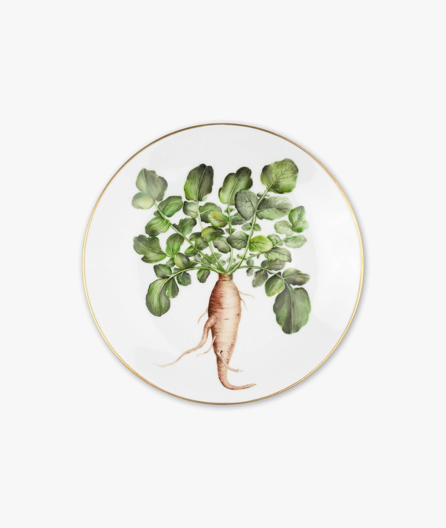 Plate Album Rapae Neutral Dishes And Charger Plates