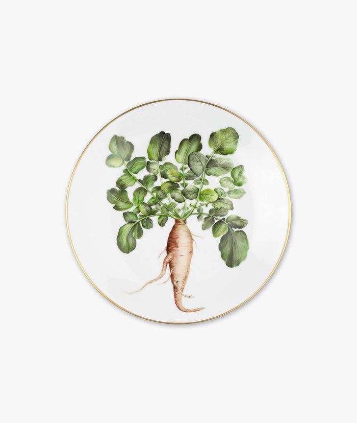 Plate Album Rapae Neutral Dishes And Charger Plates