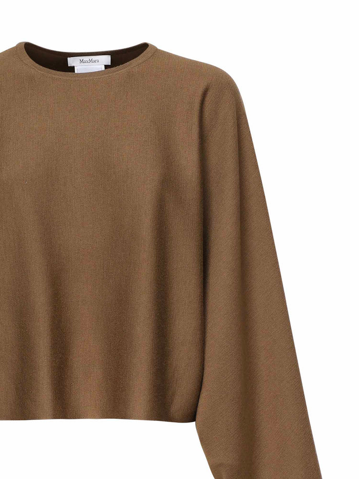 Max Mara Sweaters Hazelnut Virgin Wool
