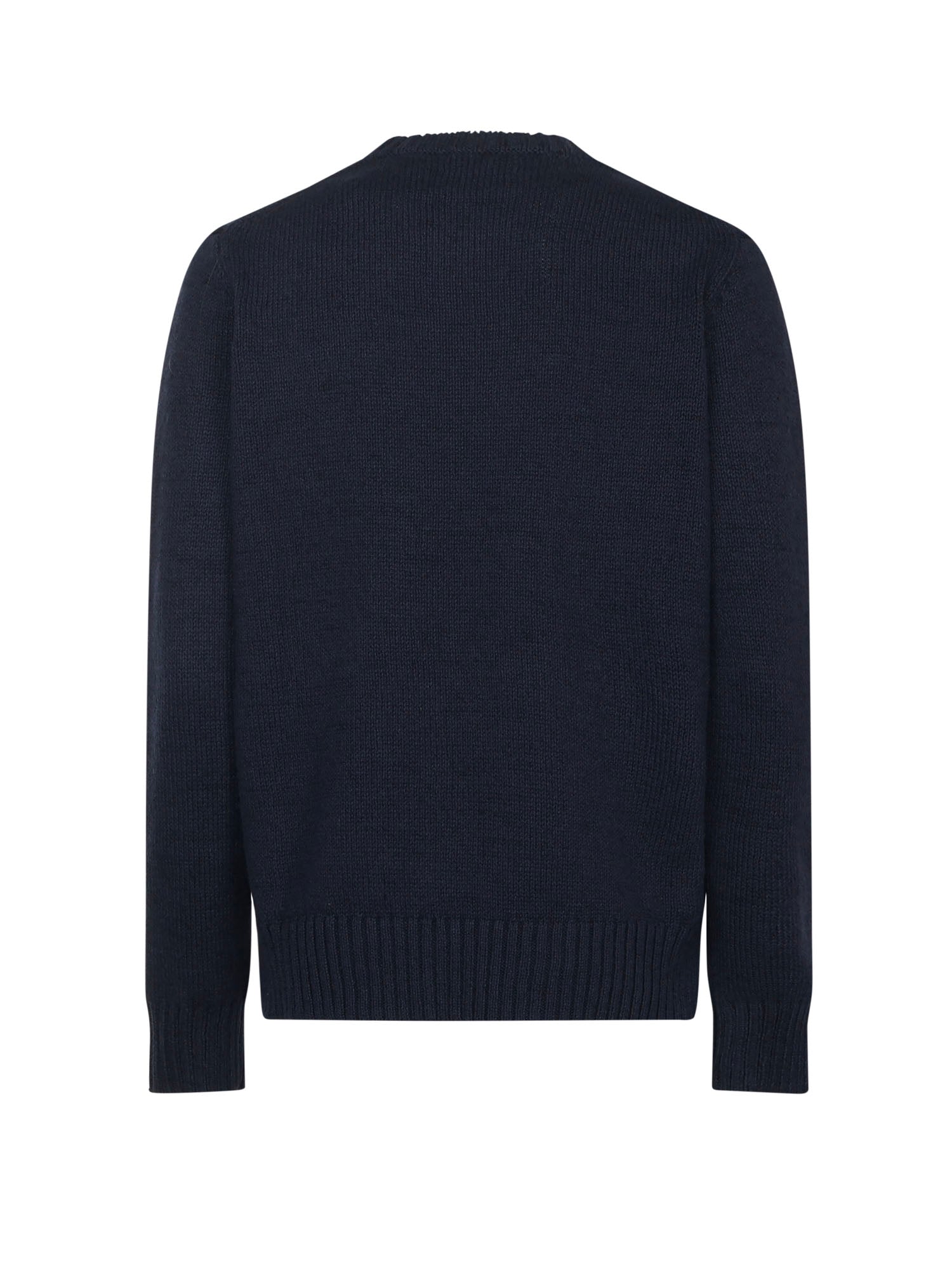Polo Ralph Lauren Sweaters Blue Cotton