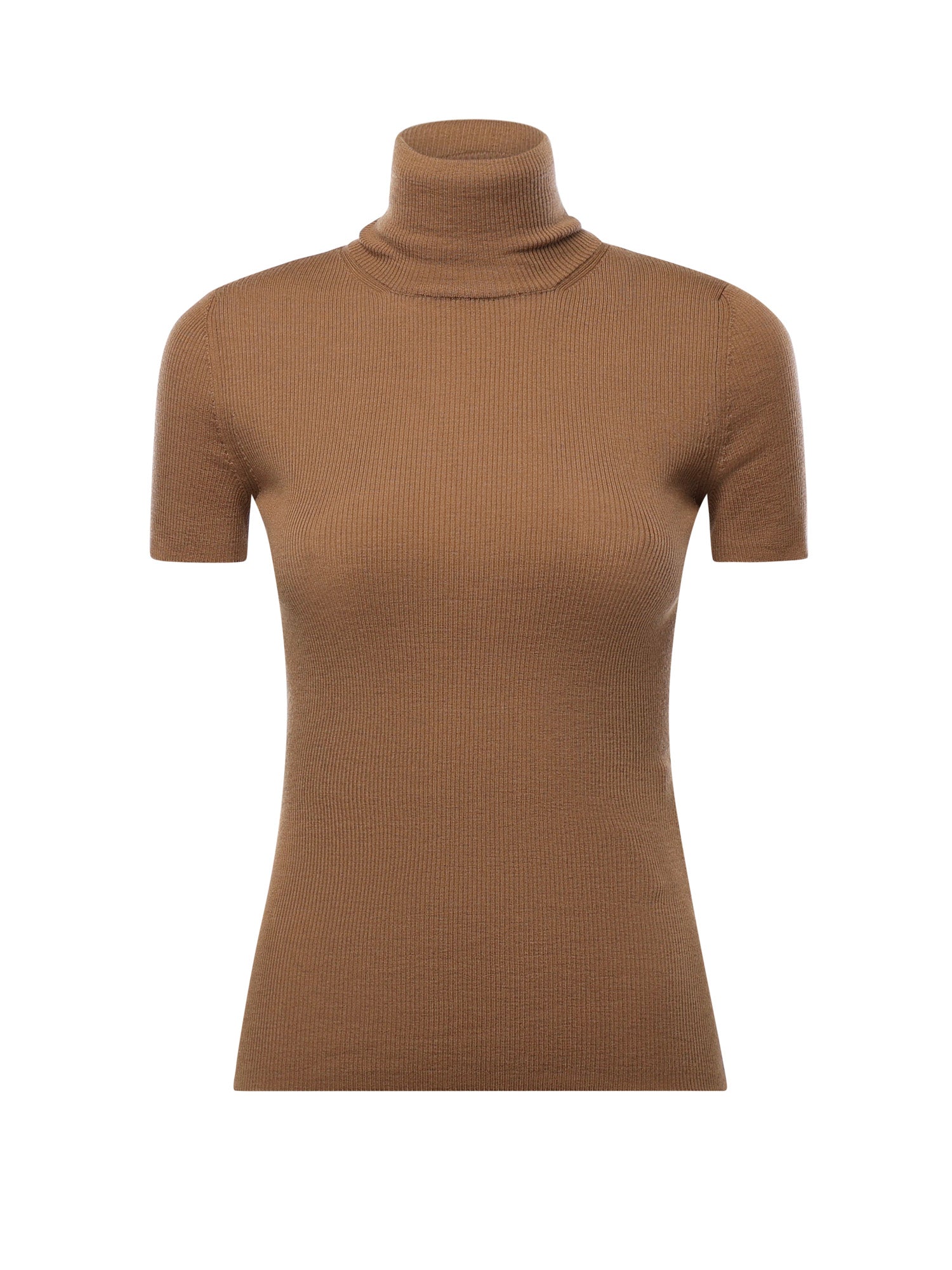 Max Mara Sweaters Brown Virgin Wool