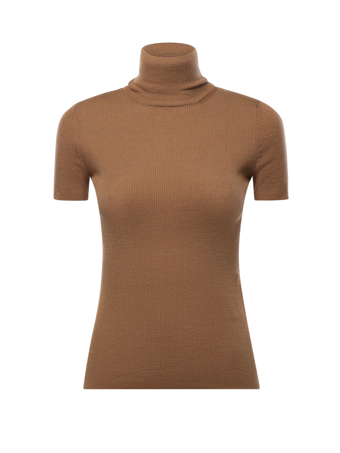 Max Mara Sweaters Brown Virgin Wool