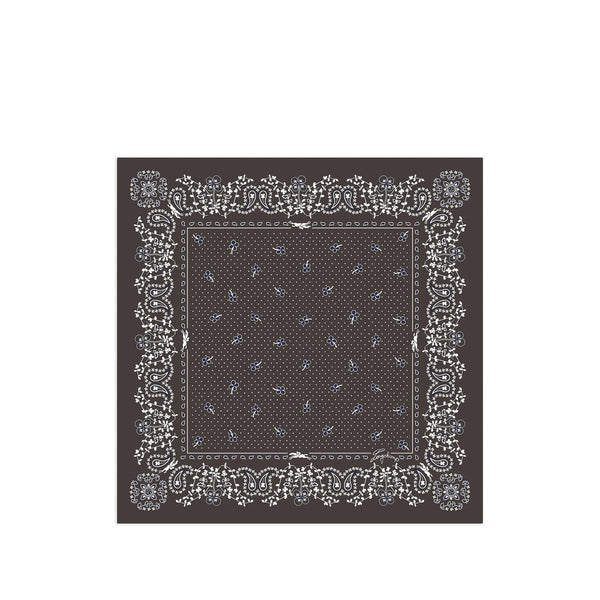 Silk Scarf Paris Brown/white