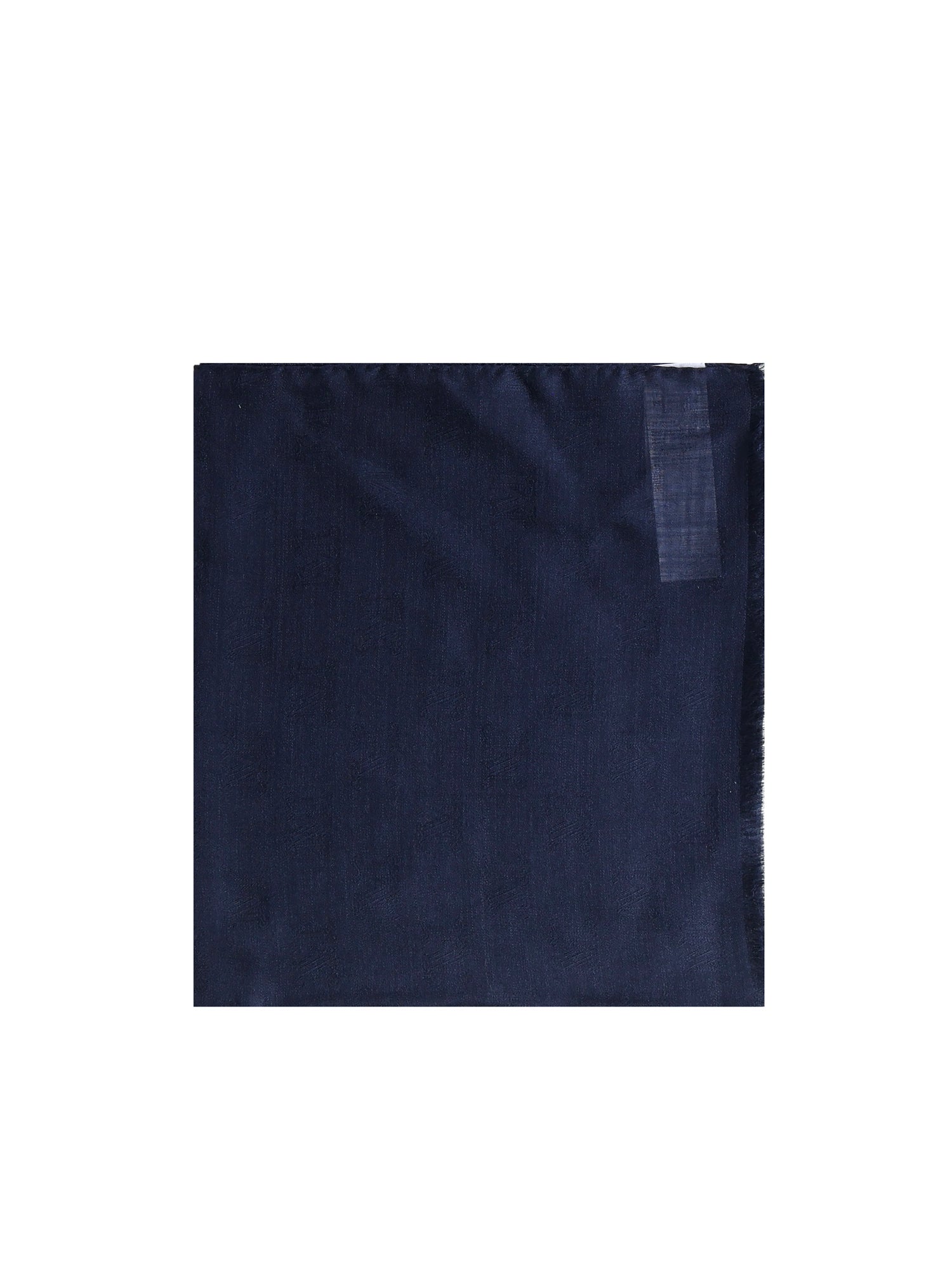 Max Mara Scarfs Blue Wool