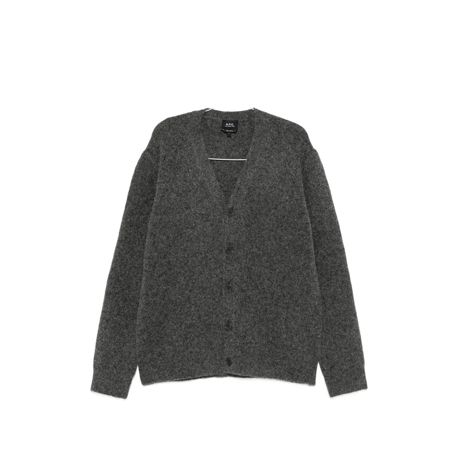 Sweatshirt Placide Grey Cotton Sweatshirts