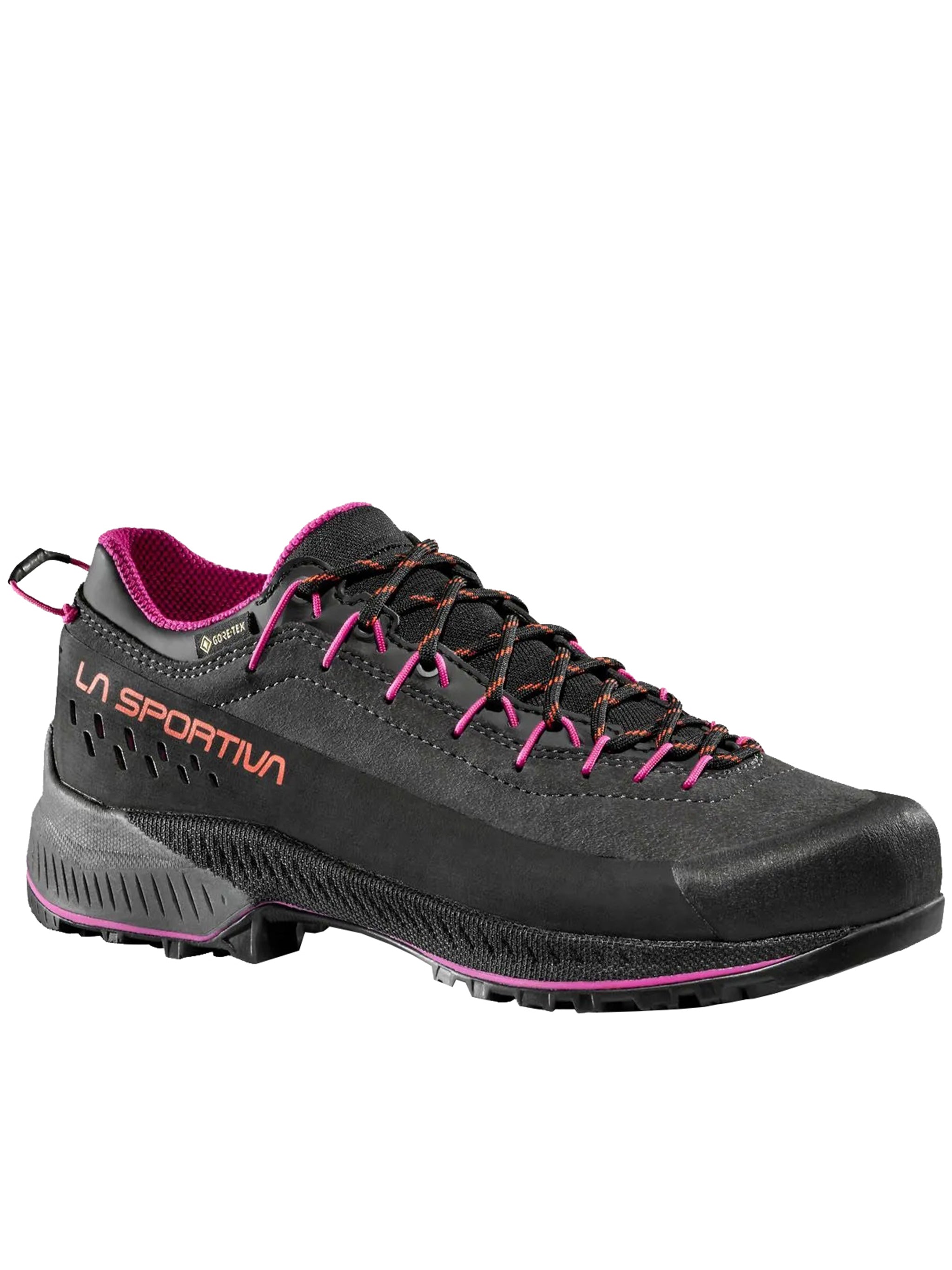 Tx4 Evo Ws Gtx Black Calzature
