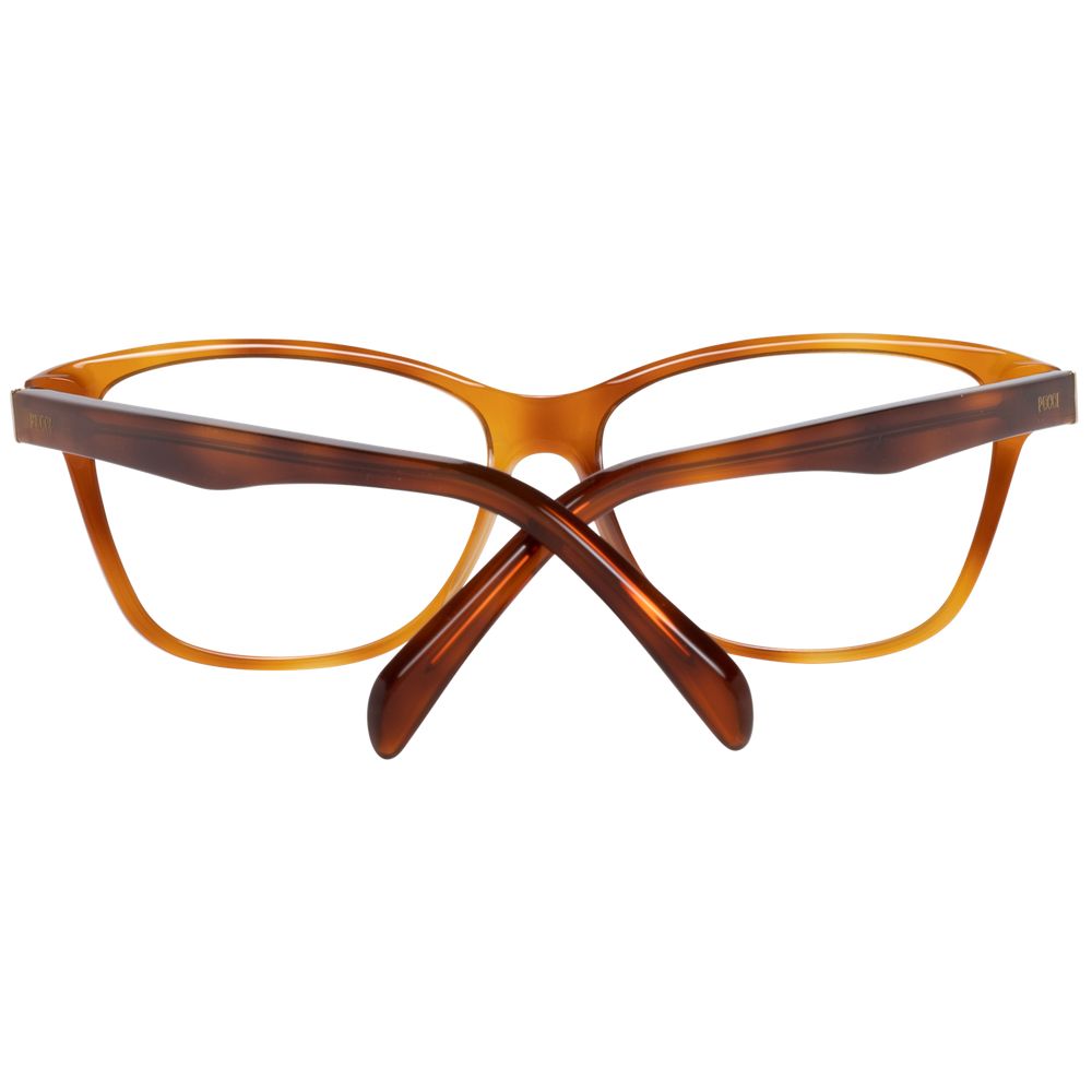 Brown Plastic Glasses (frames) Accessory