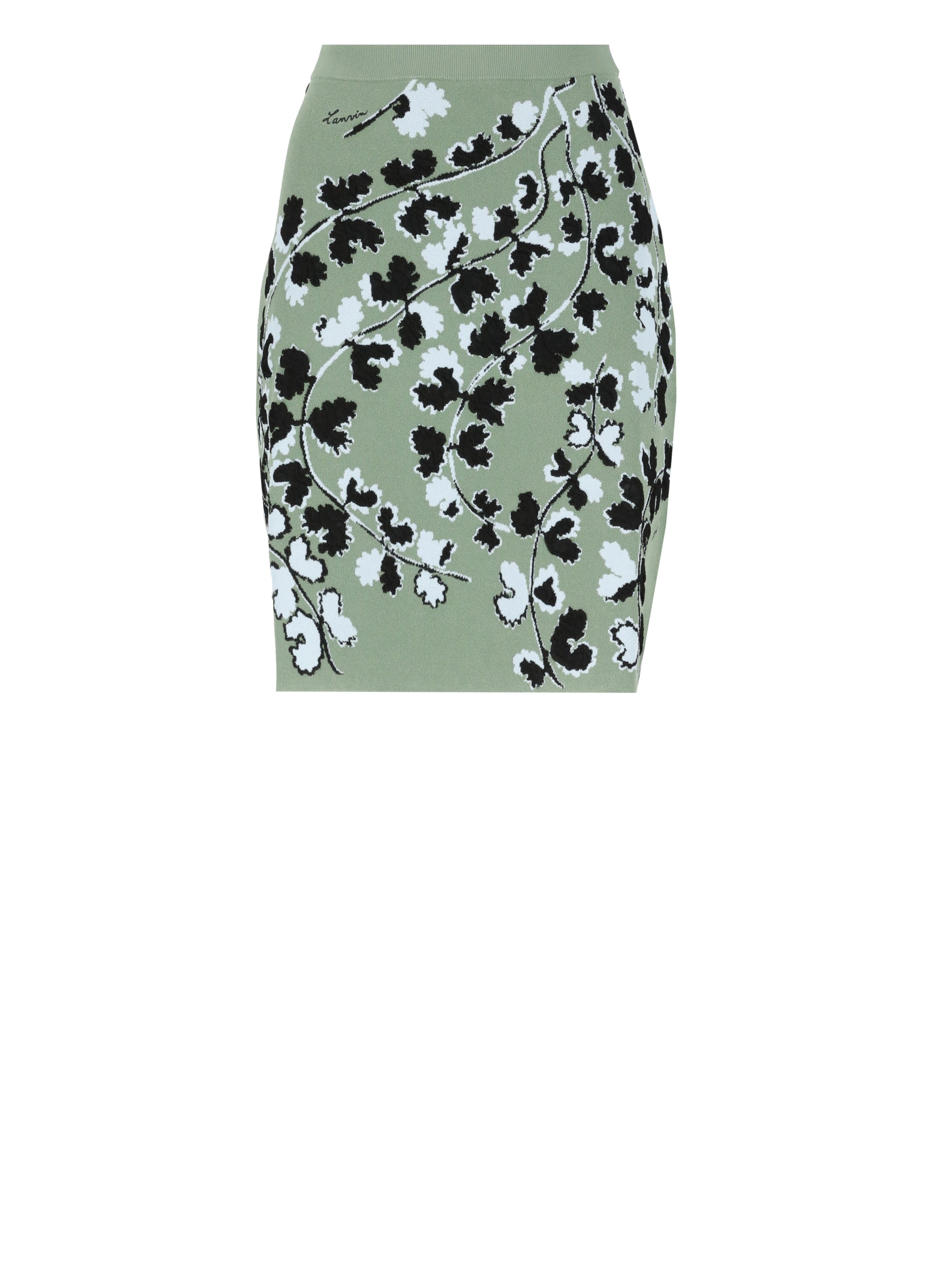 Lanvin Skirts Green