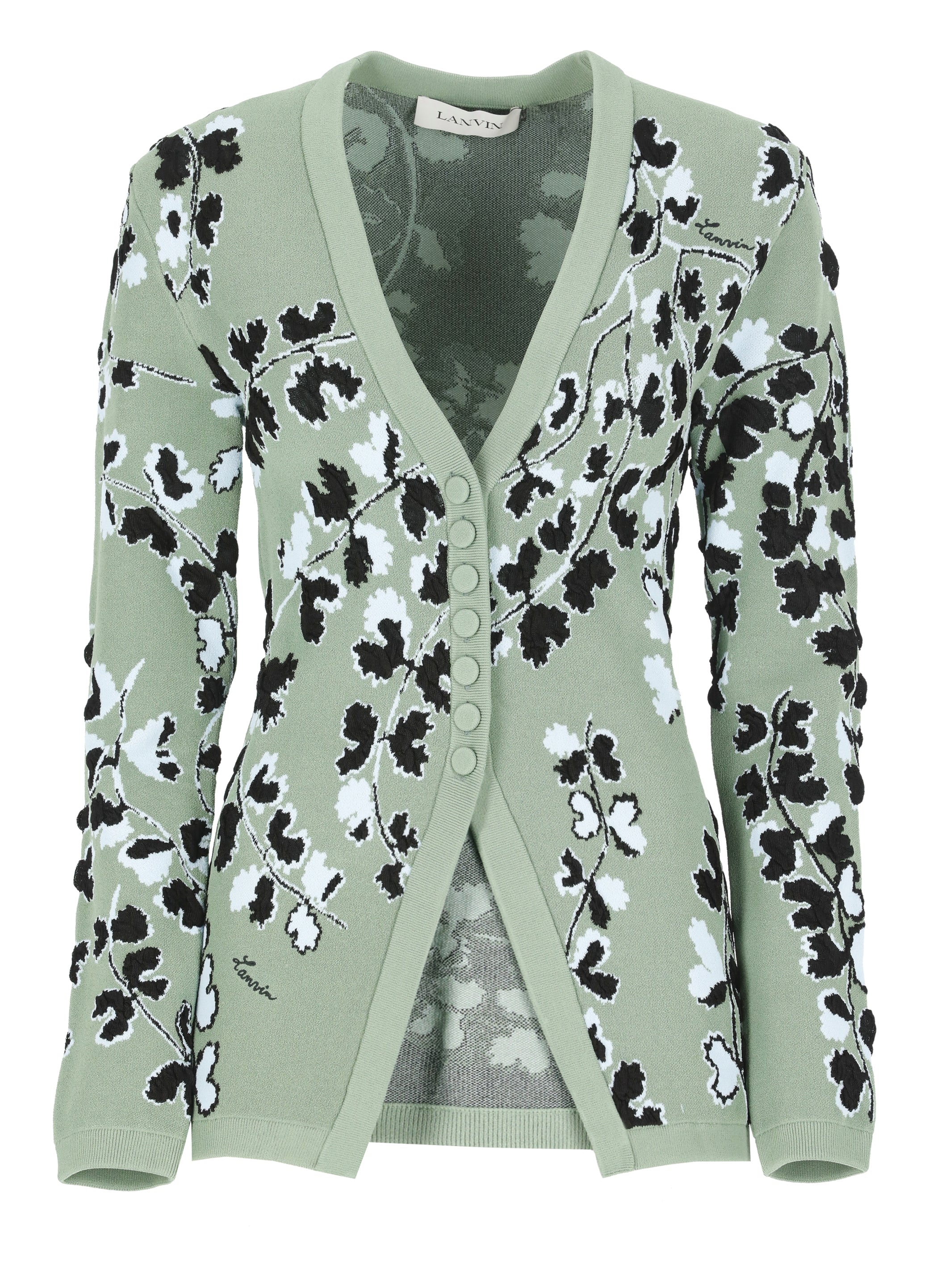 Lanvin Sweaters Green