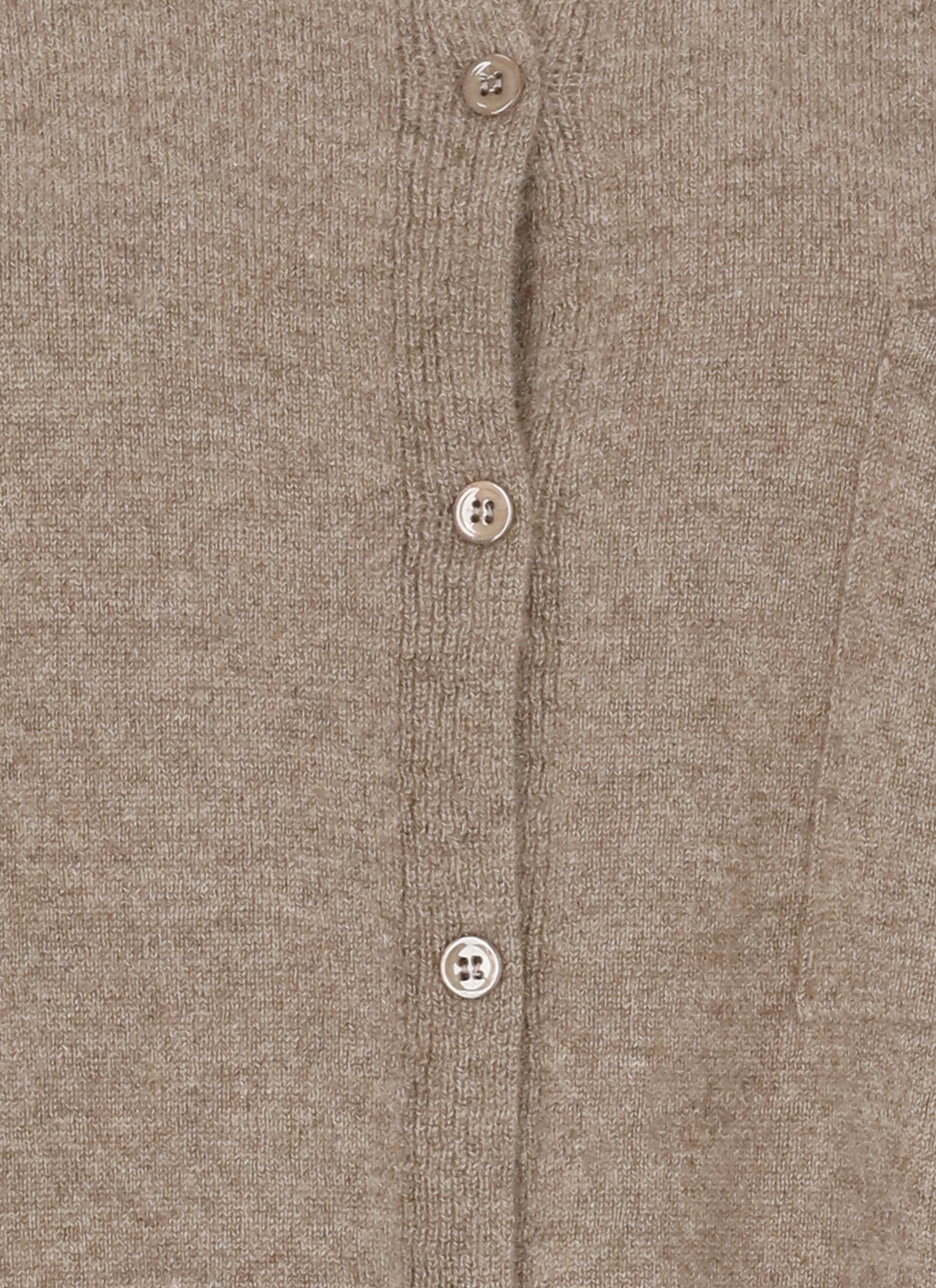 Vanise Shirts Brown Cachemire