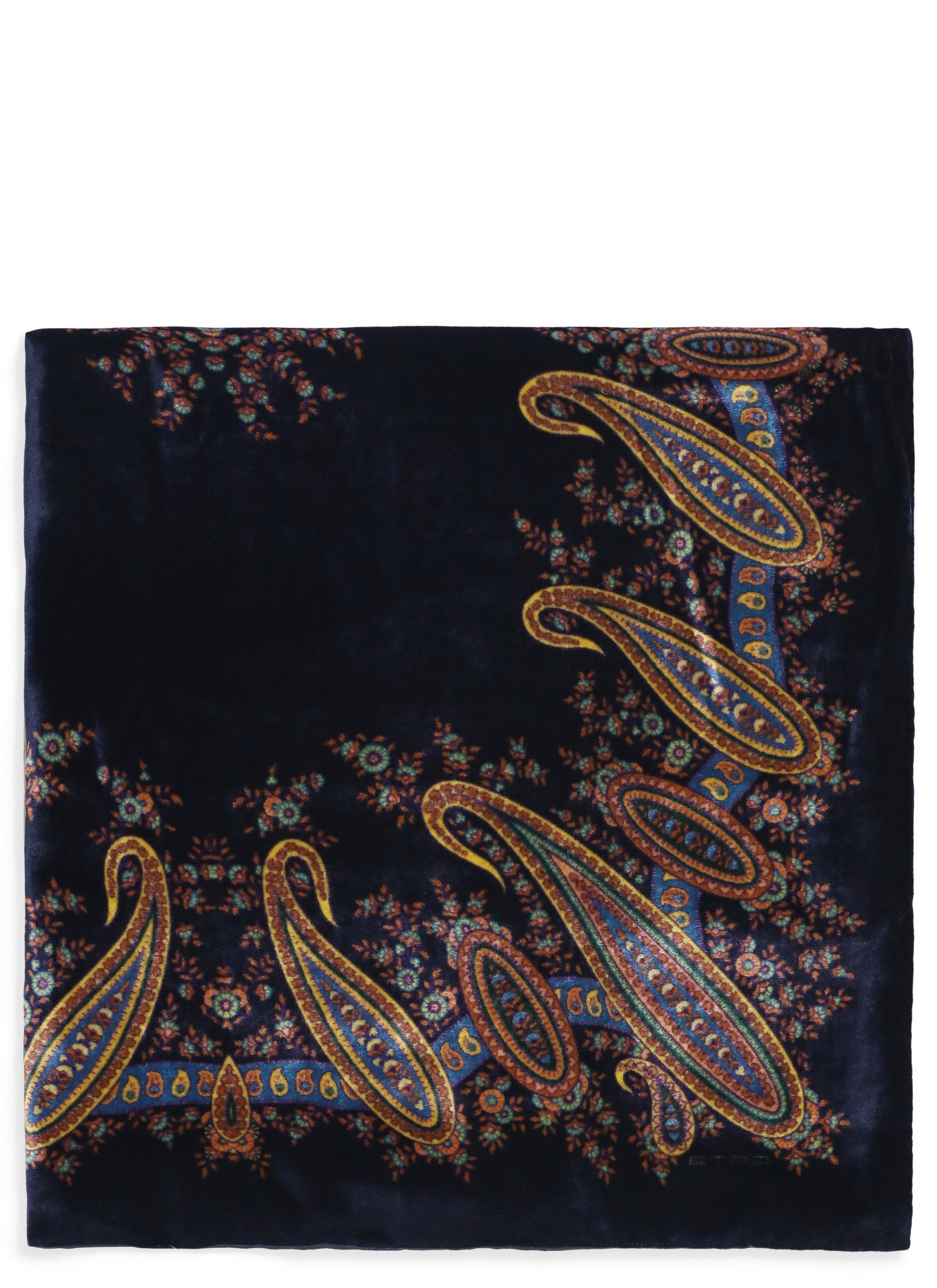 Etro Scarfs Blue Viscose Silk