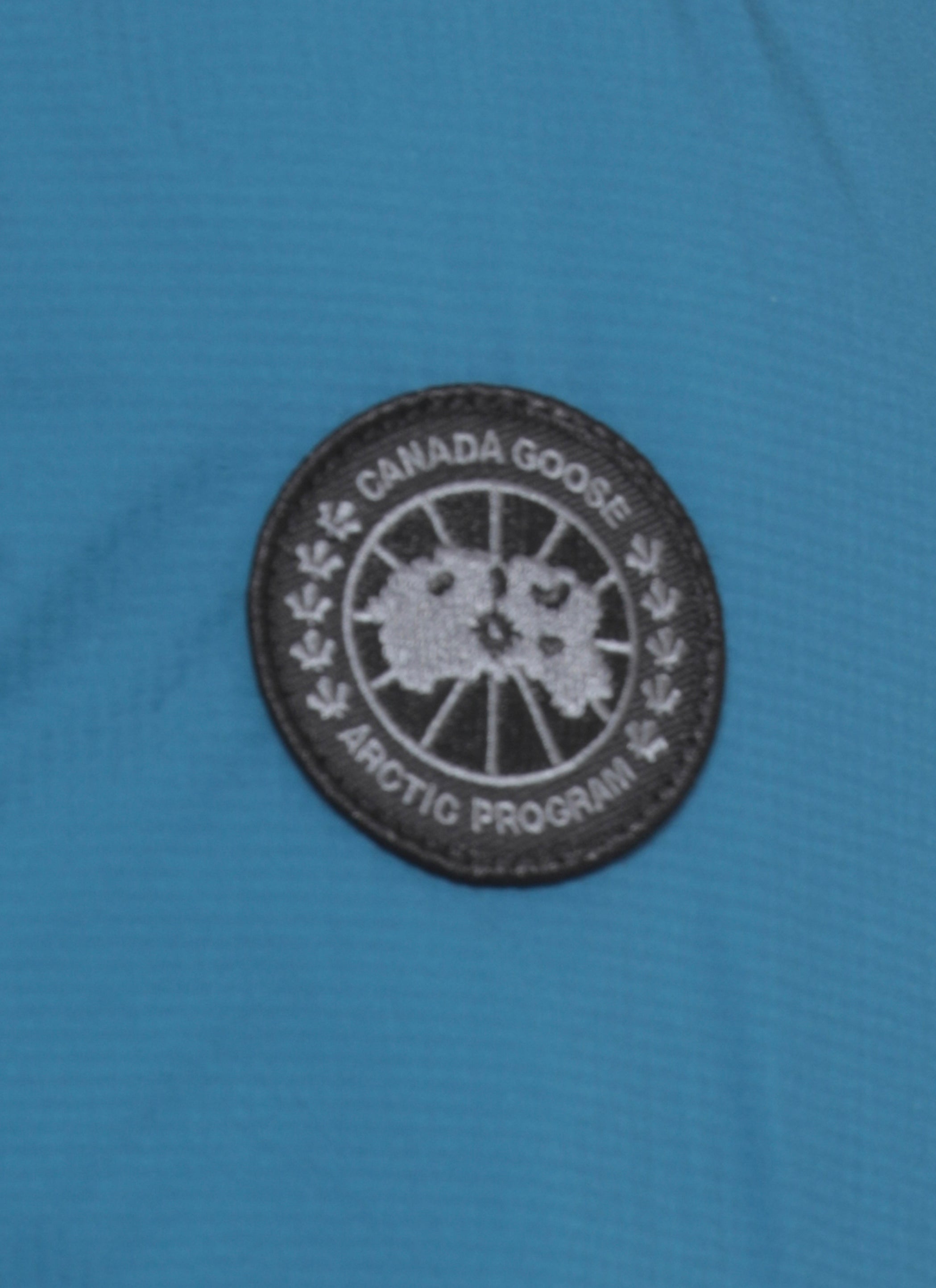 Canada Goose Coats Blue