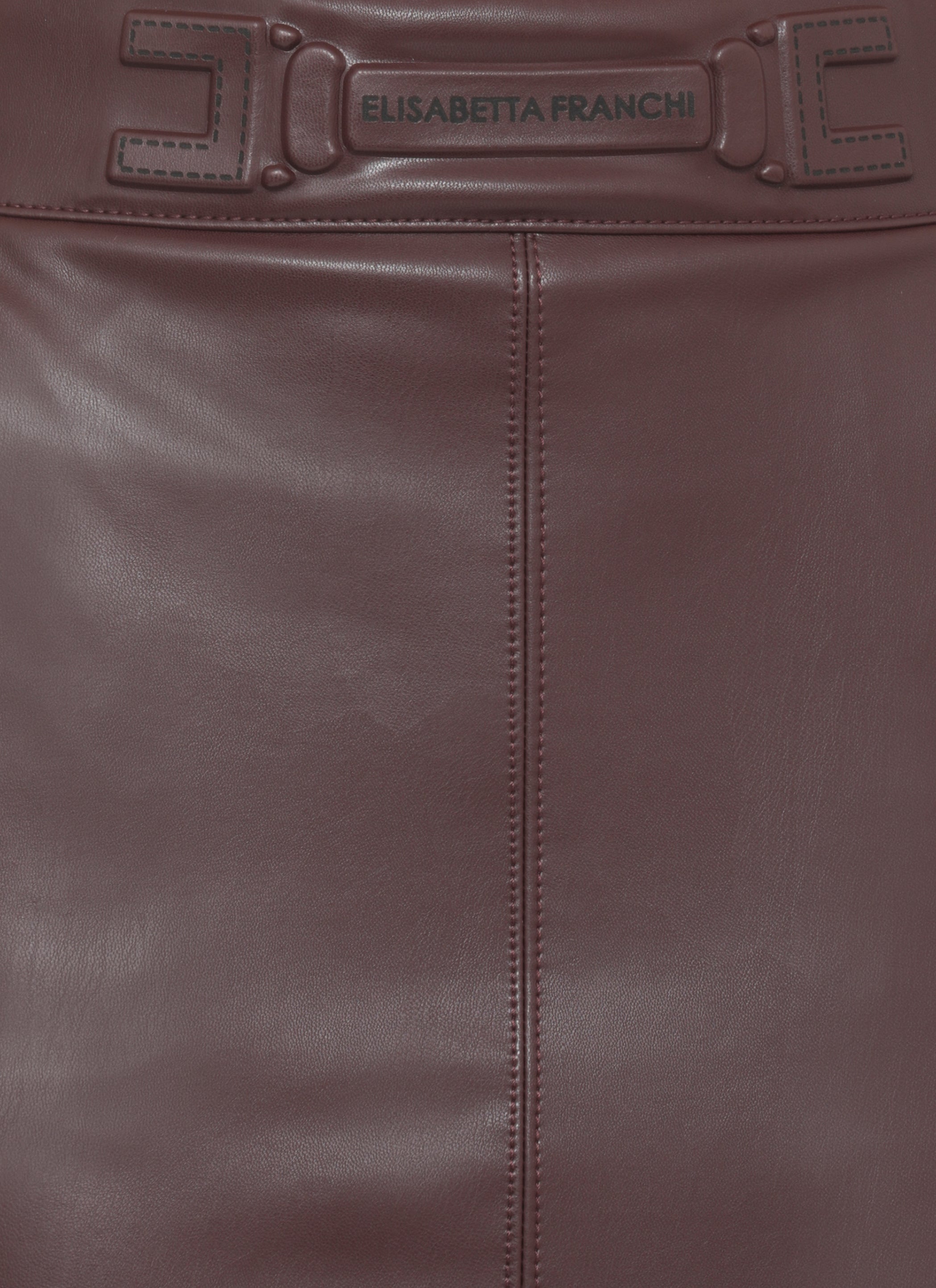 Elisabetta Franchi Skirts Marrone