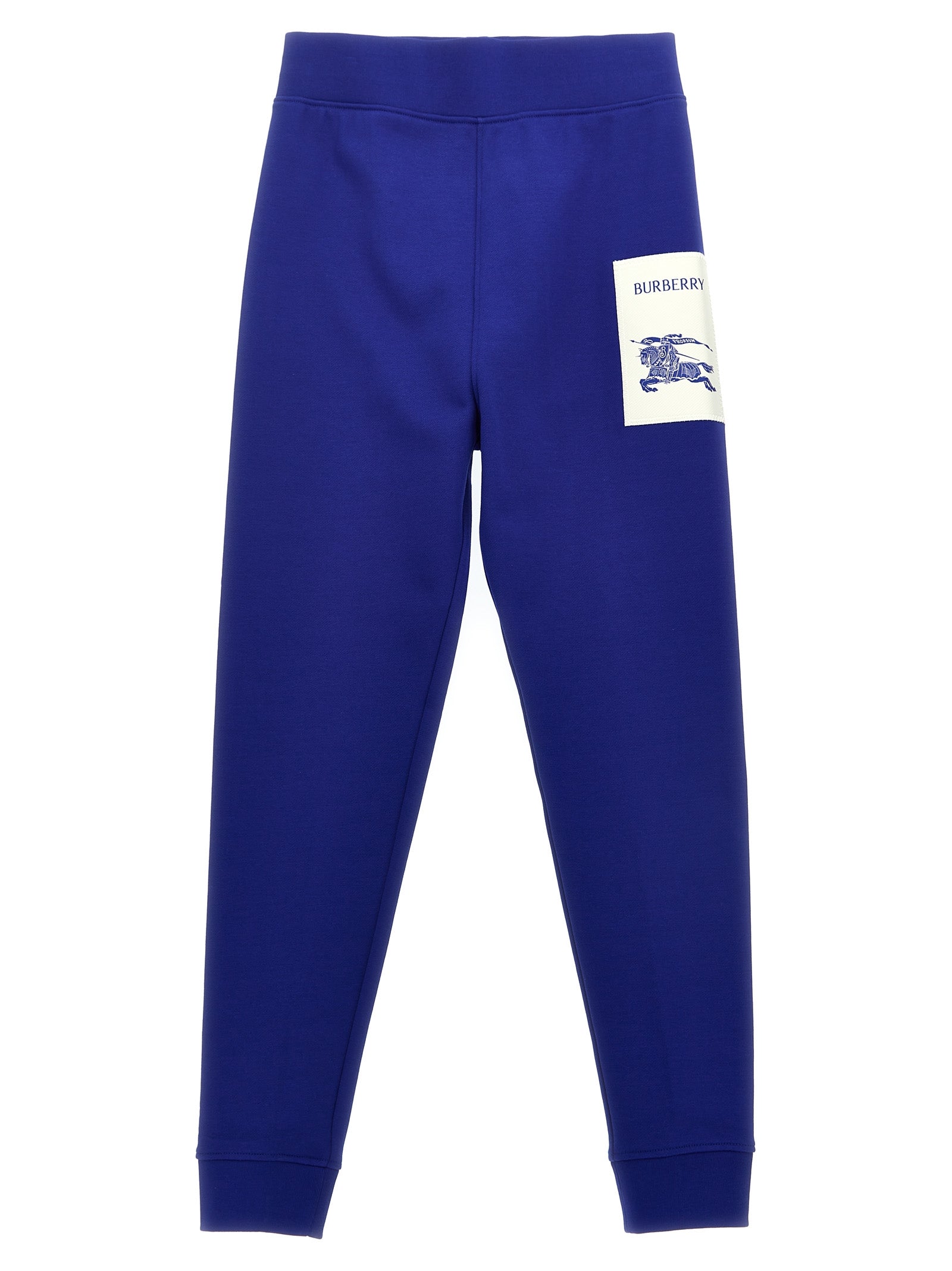 Sidney joggers Blue Cotton Pant