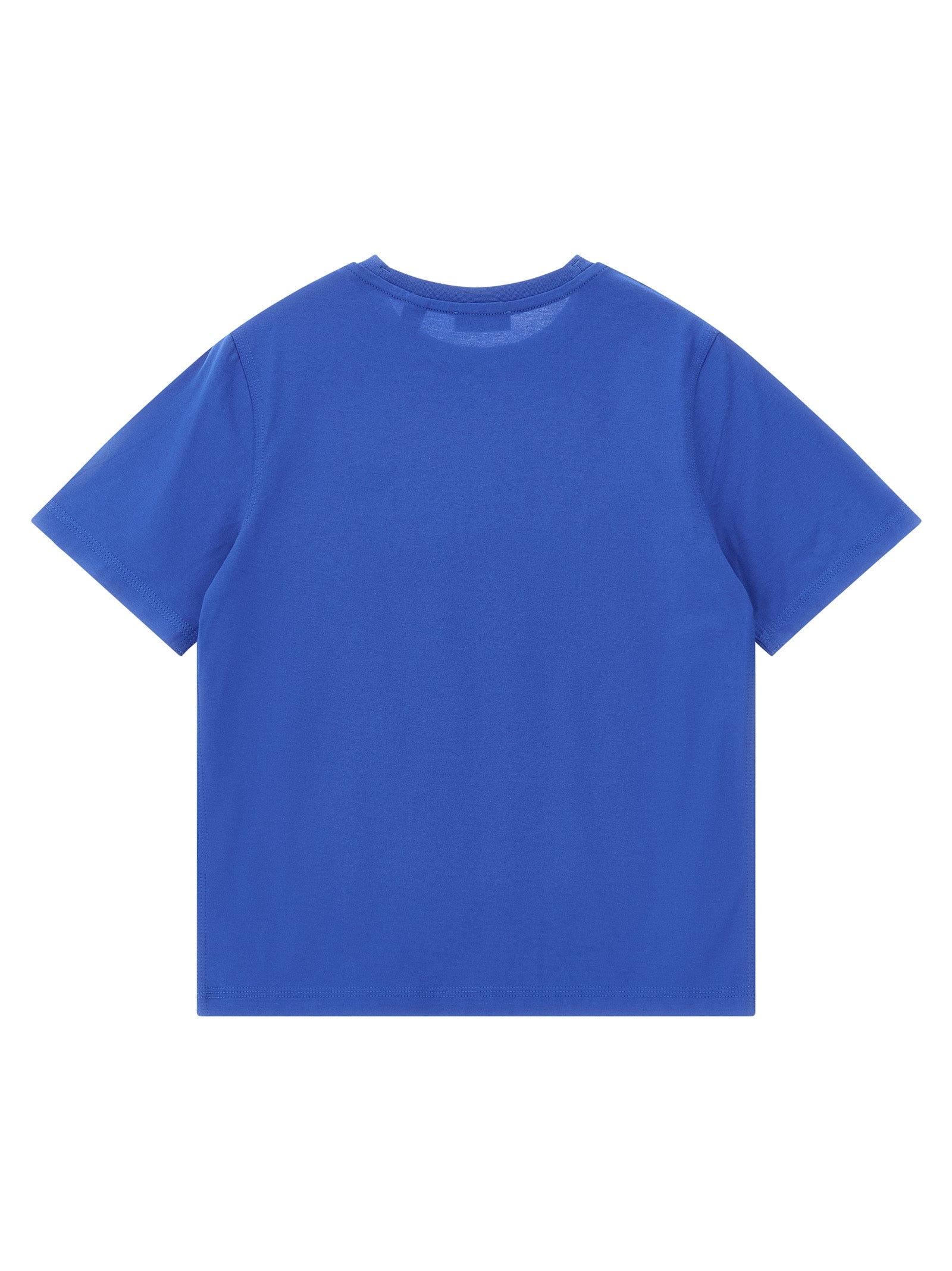 Cedar T-shirt Blue Cotton