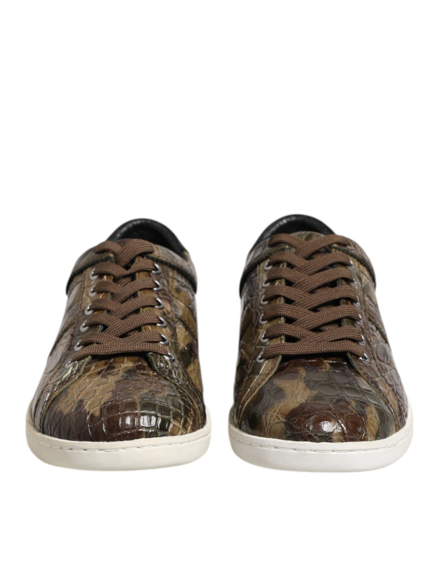 Dolce & Gabbana 91% Caiman Leather sneaker in brown