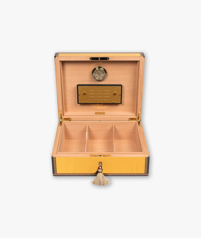 Humidor Alba - Yellow Neutral