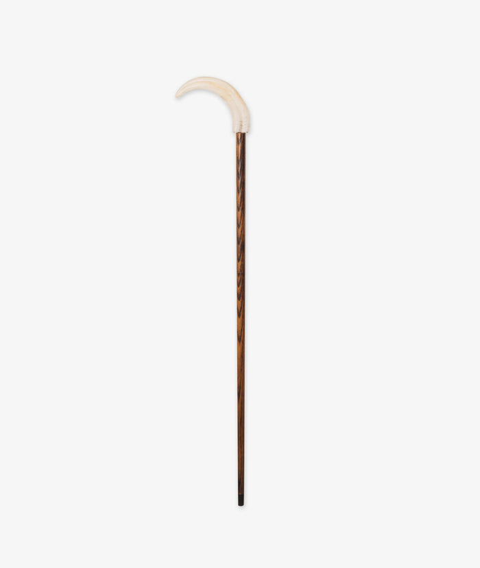 Walking Stick Montague Brown Sticks