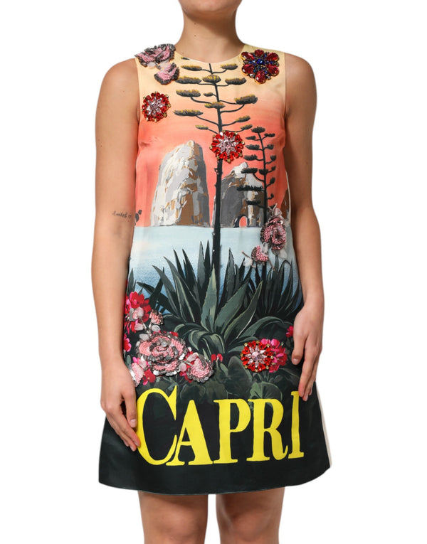 Dolce & Gabbana 100% Silk; Lining: 65% Acetate dress in multicolor
