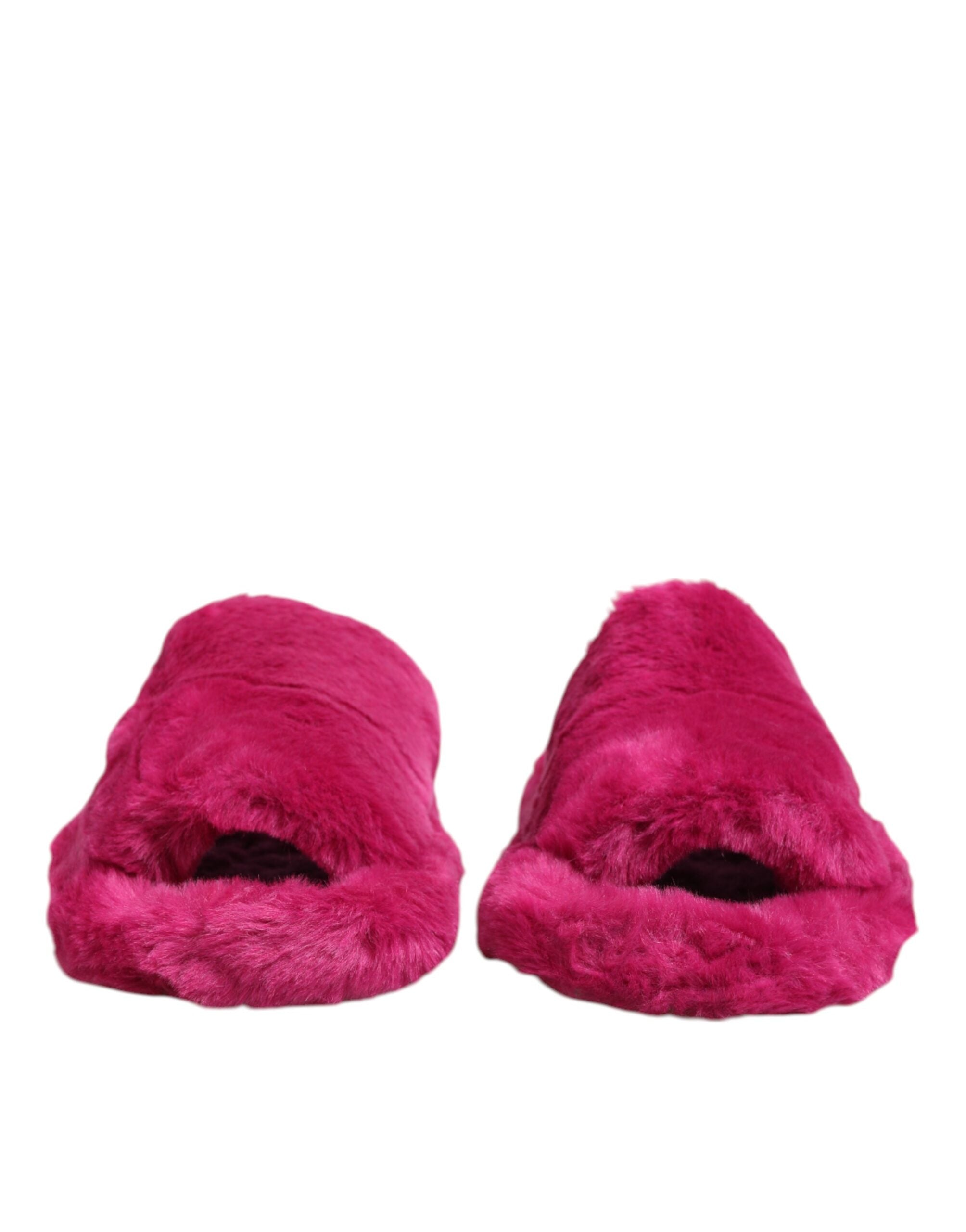 Dolce & Gabbana 85% Acrylic slipper in pink