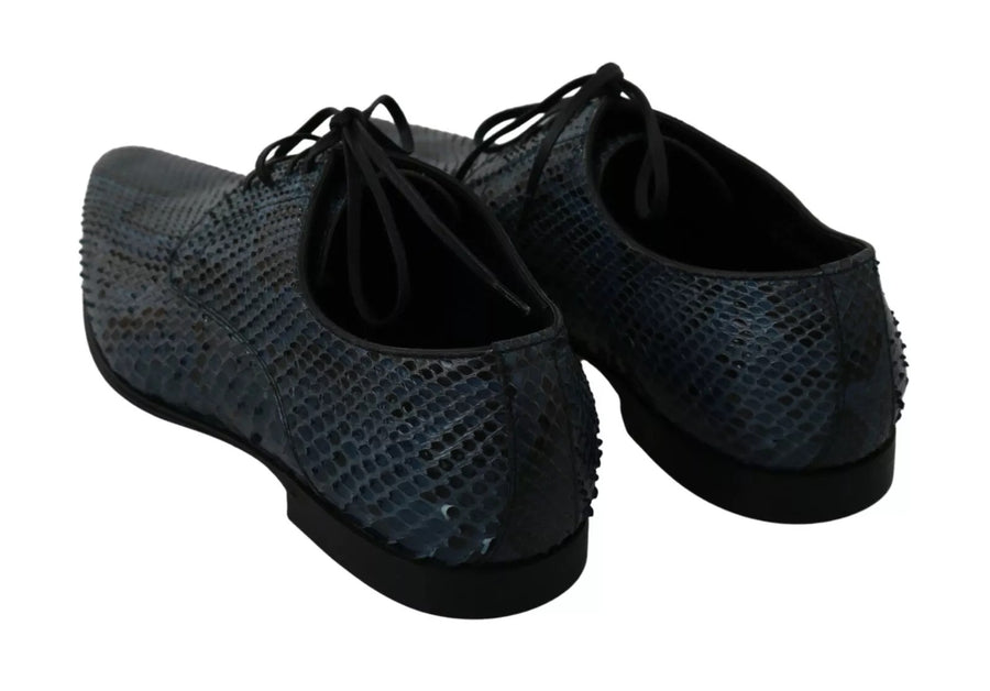 Dolce & Gabbana 100% Python skin leather derby shoe in blue