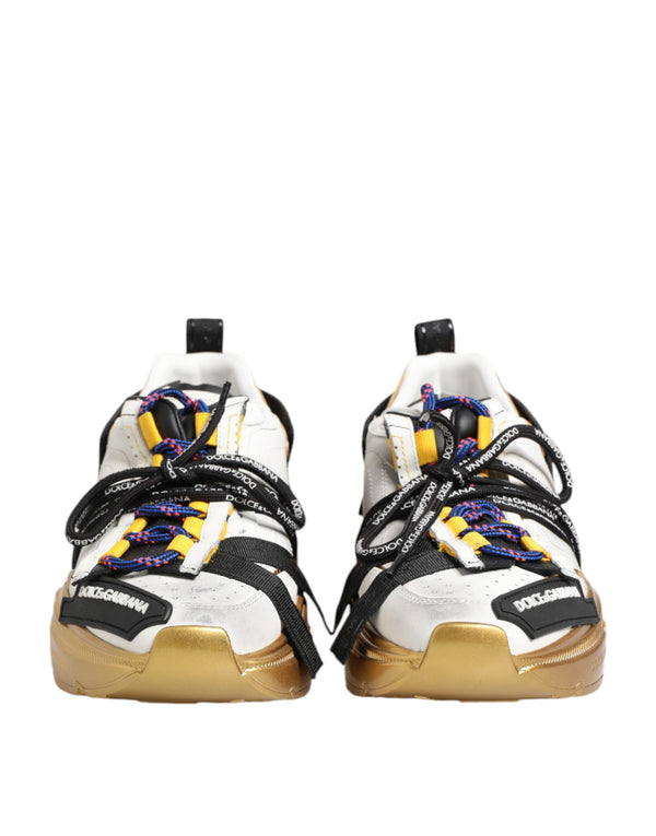 Dolce & Gabbana 70% Calfskin Leather sneaker in multicolor
