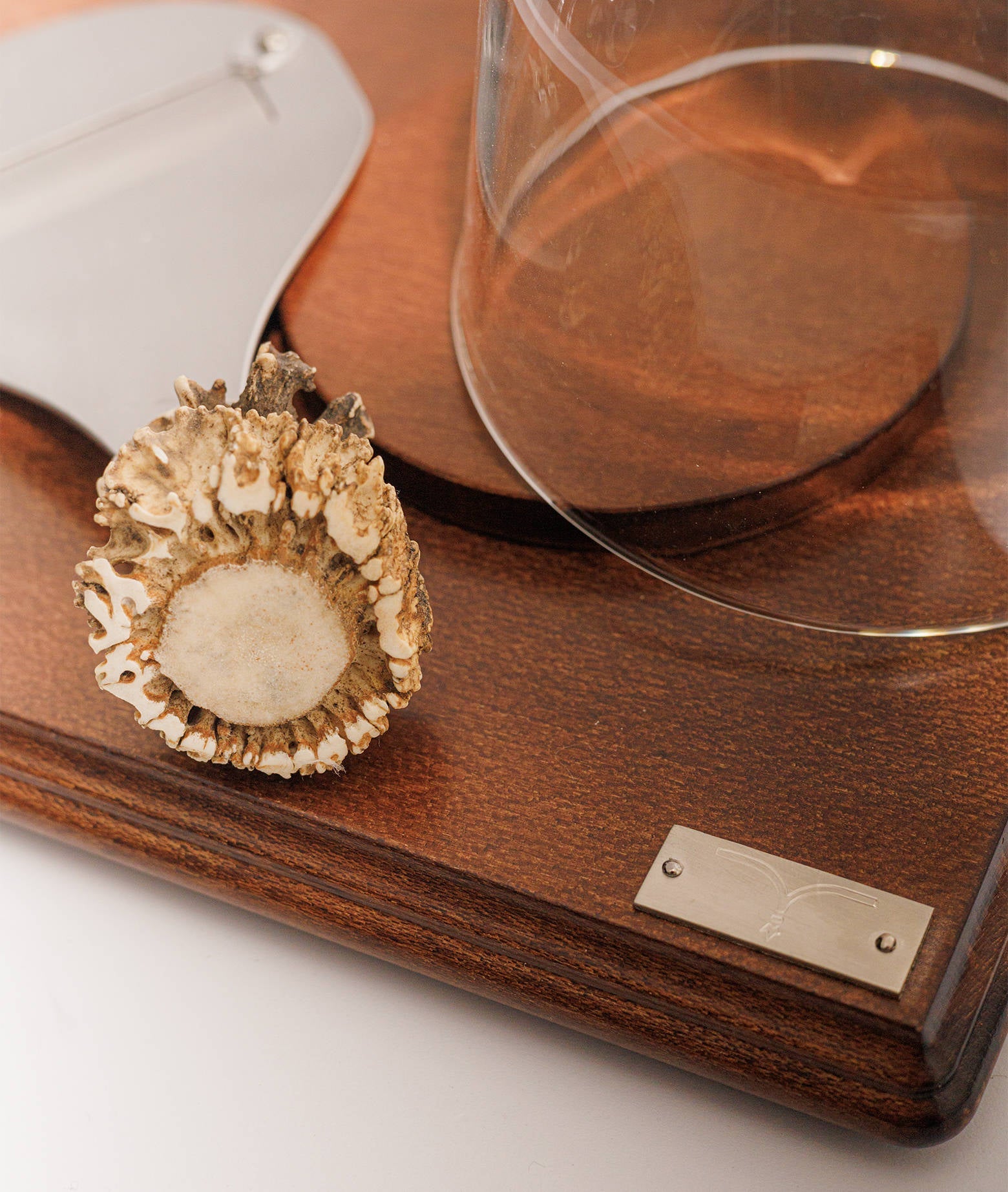 Truffle Set Deer Brown Accessories