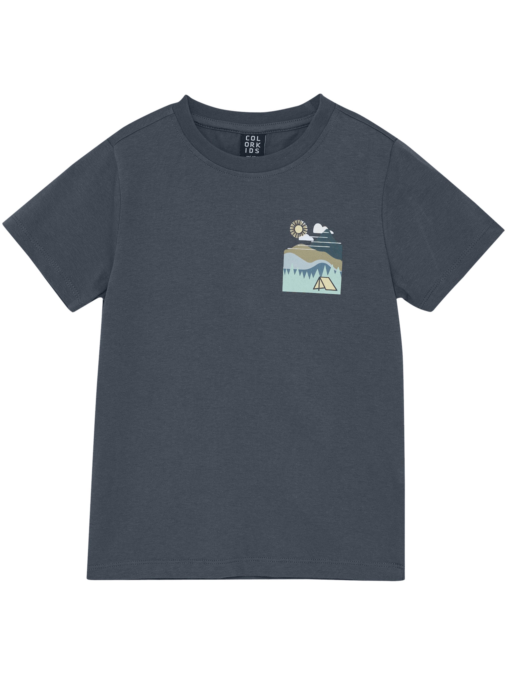 Tshirt Grey T-shirt