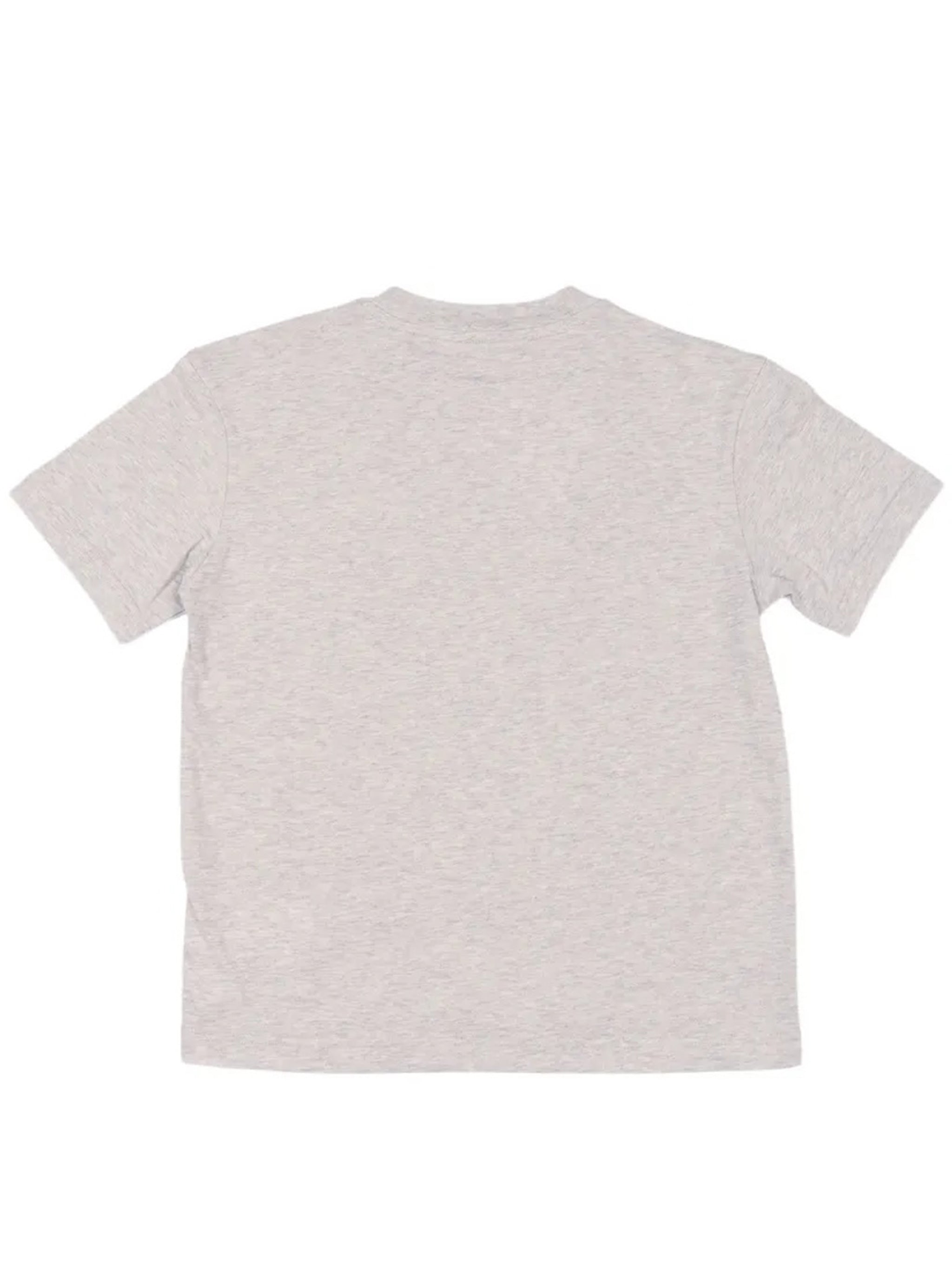 Logo Reg. T-shirt Grey