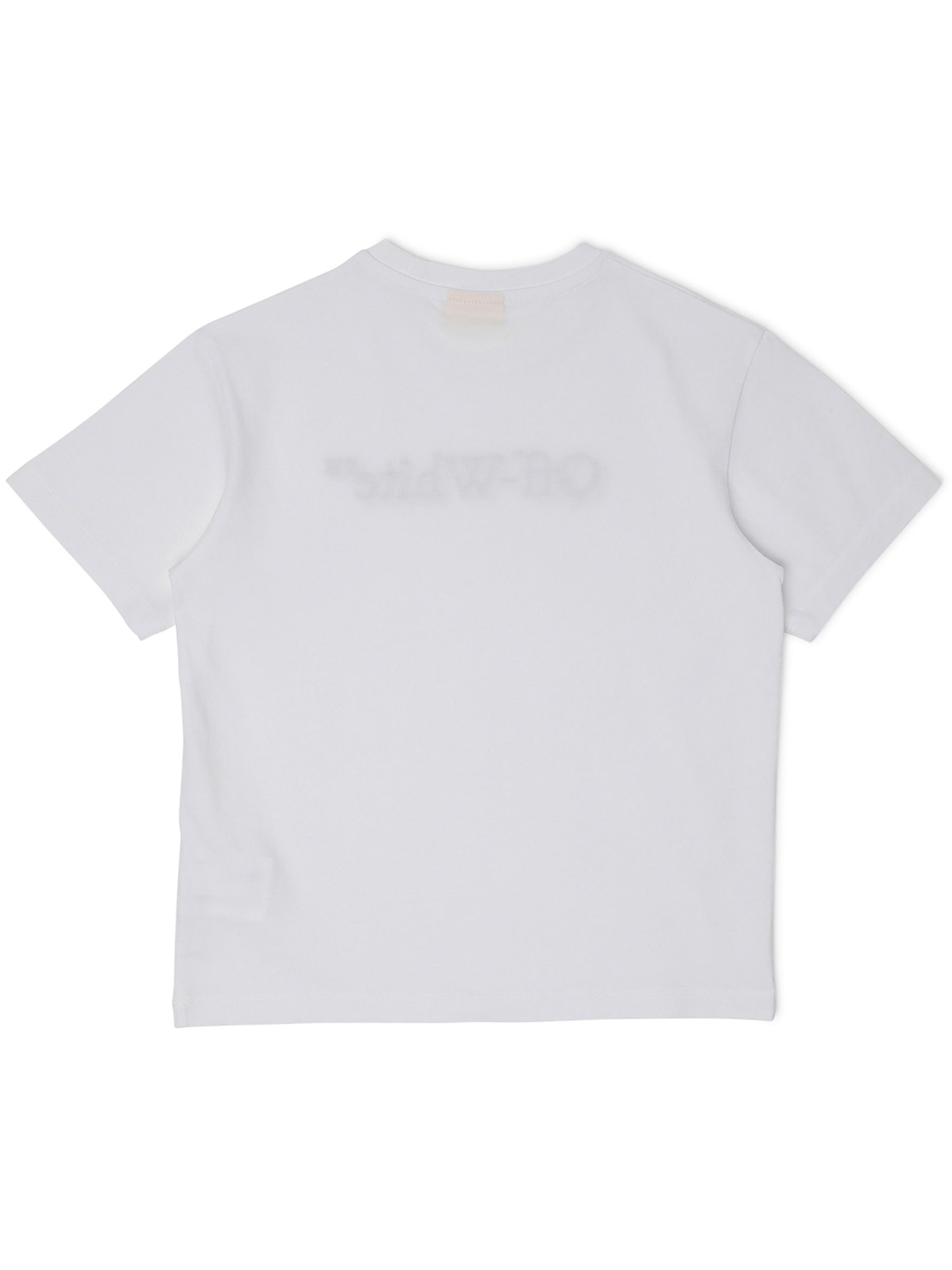 Big Bookish Shadow Tee S-S White T-shirt