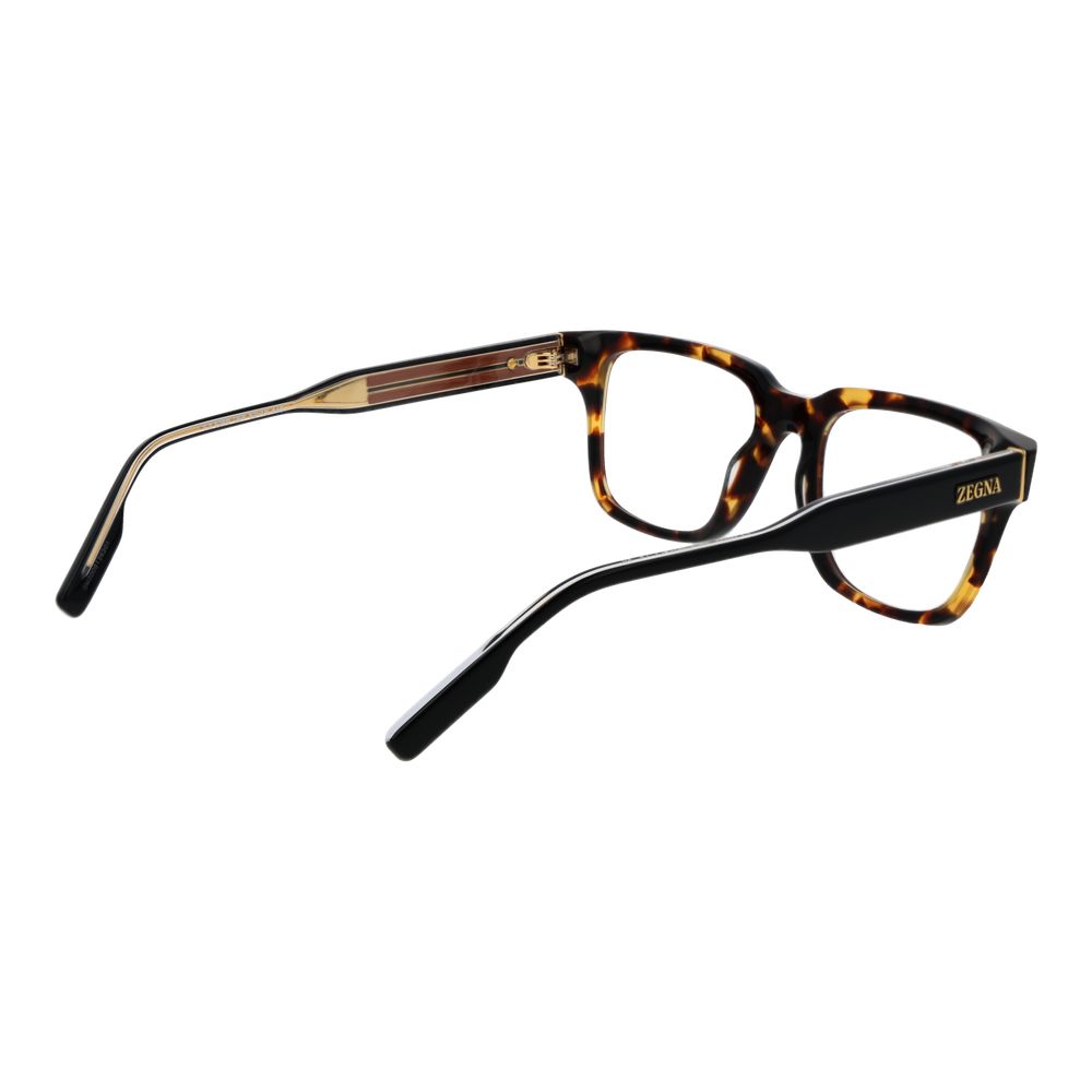 Brown Acetate Glasses (frames) Accessory