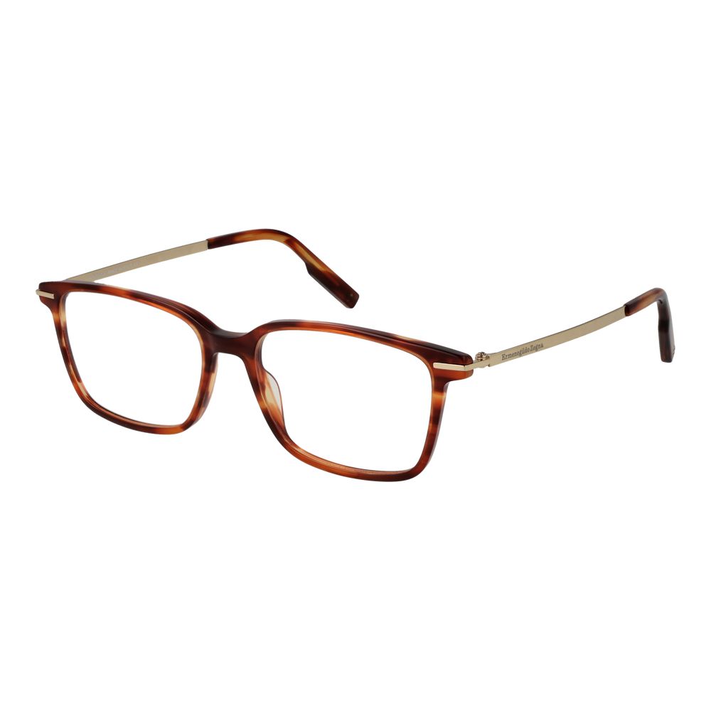 Brown Acetate Glasses (frames) Accessory