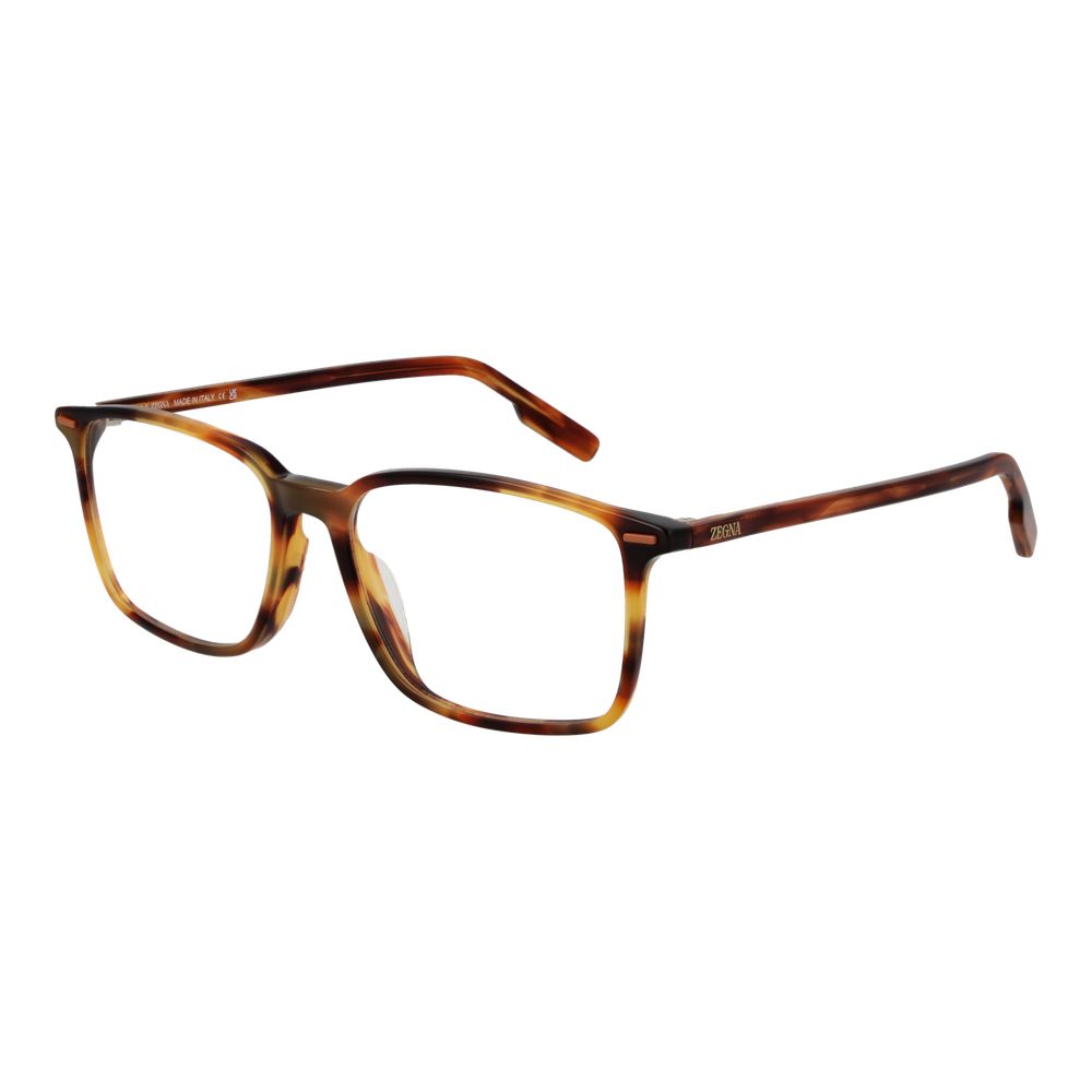 Brown Acetate Glasses (frames) Accessory