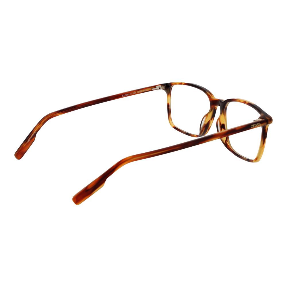 Brown Acetate Glasses (frames) Accessory