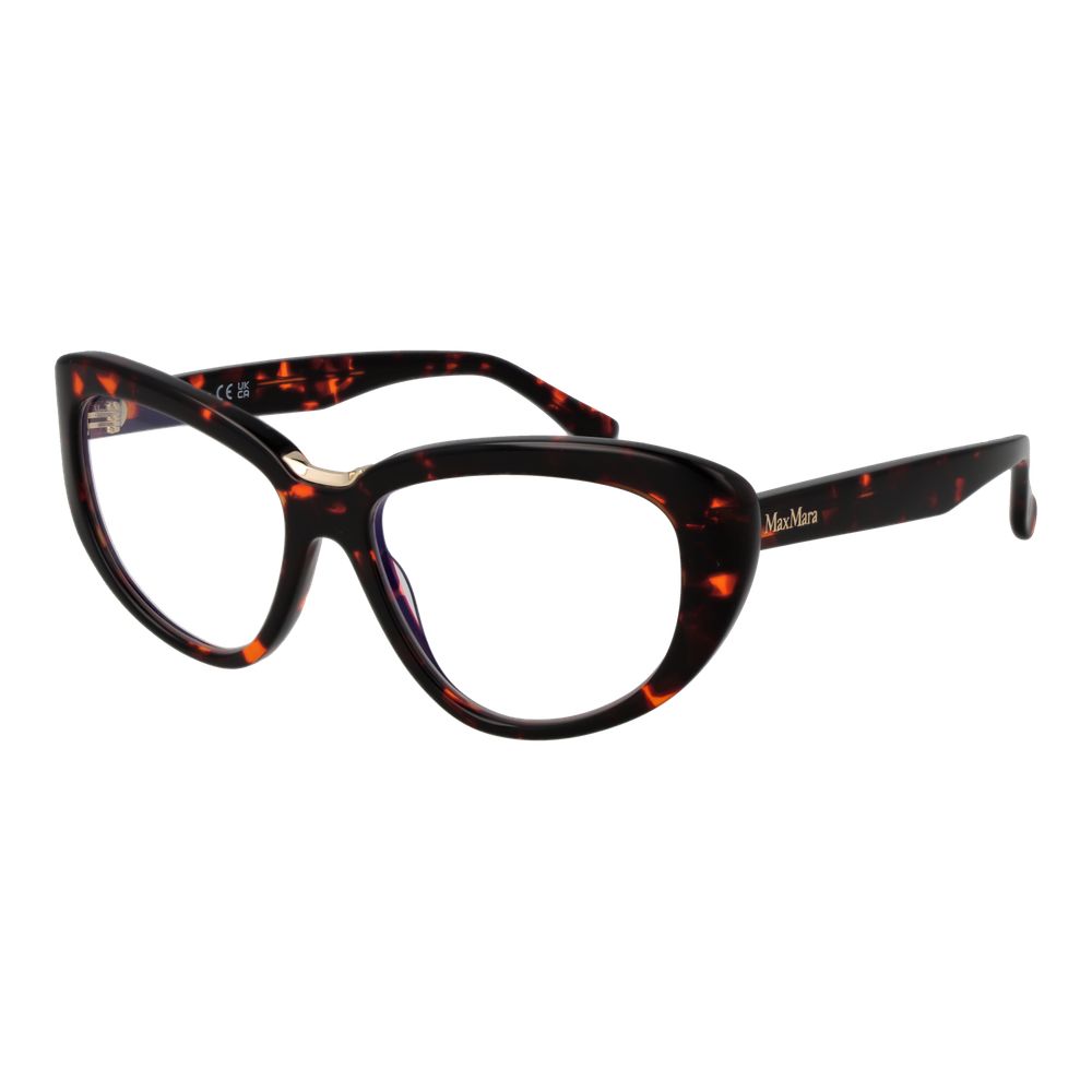 Brown Acetate Glasses (frames) Accessory